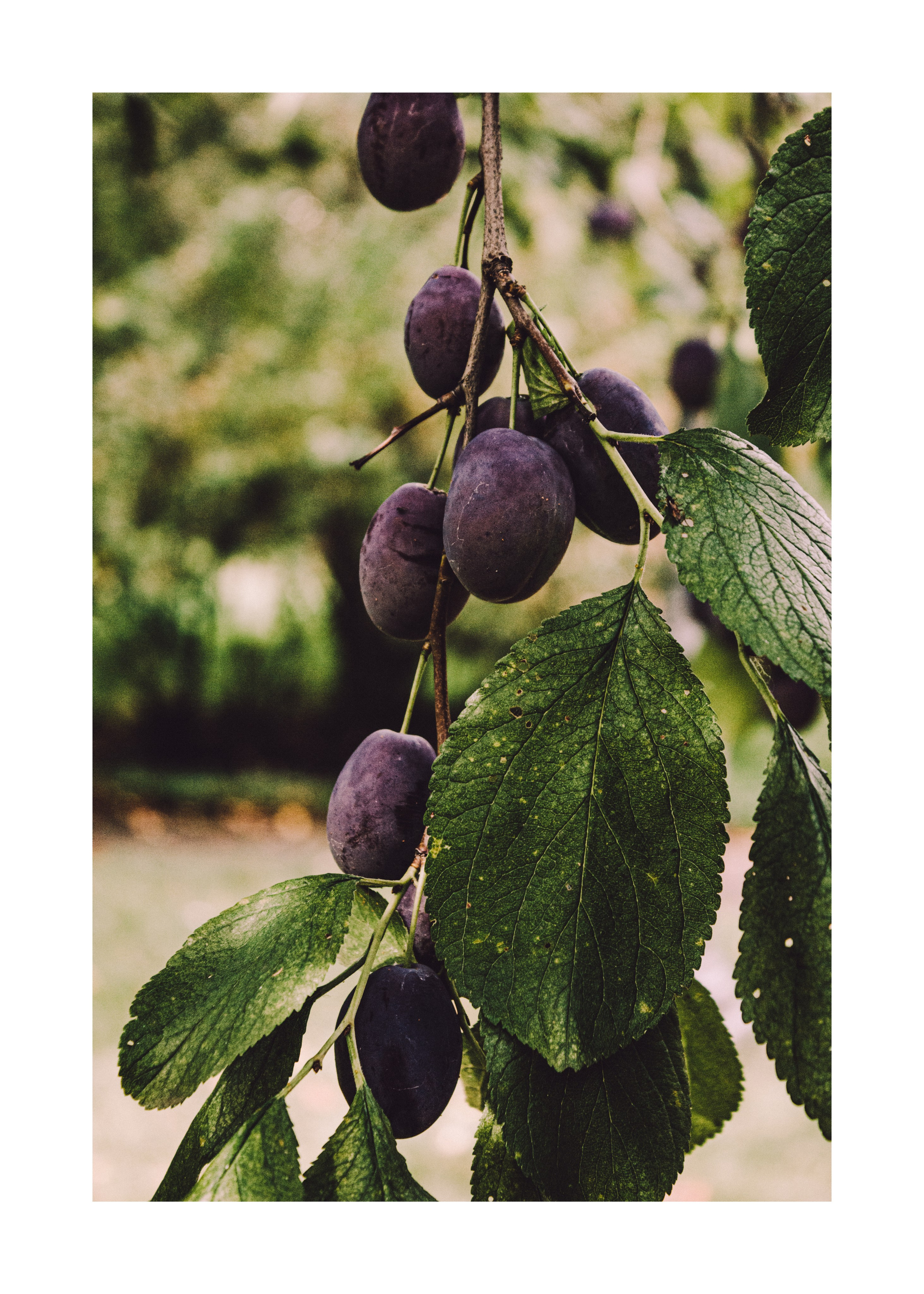 постер постеры море фото на стену фото для печати фото в раму декор из фото