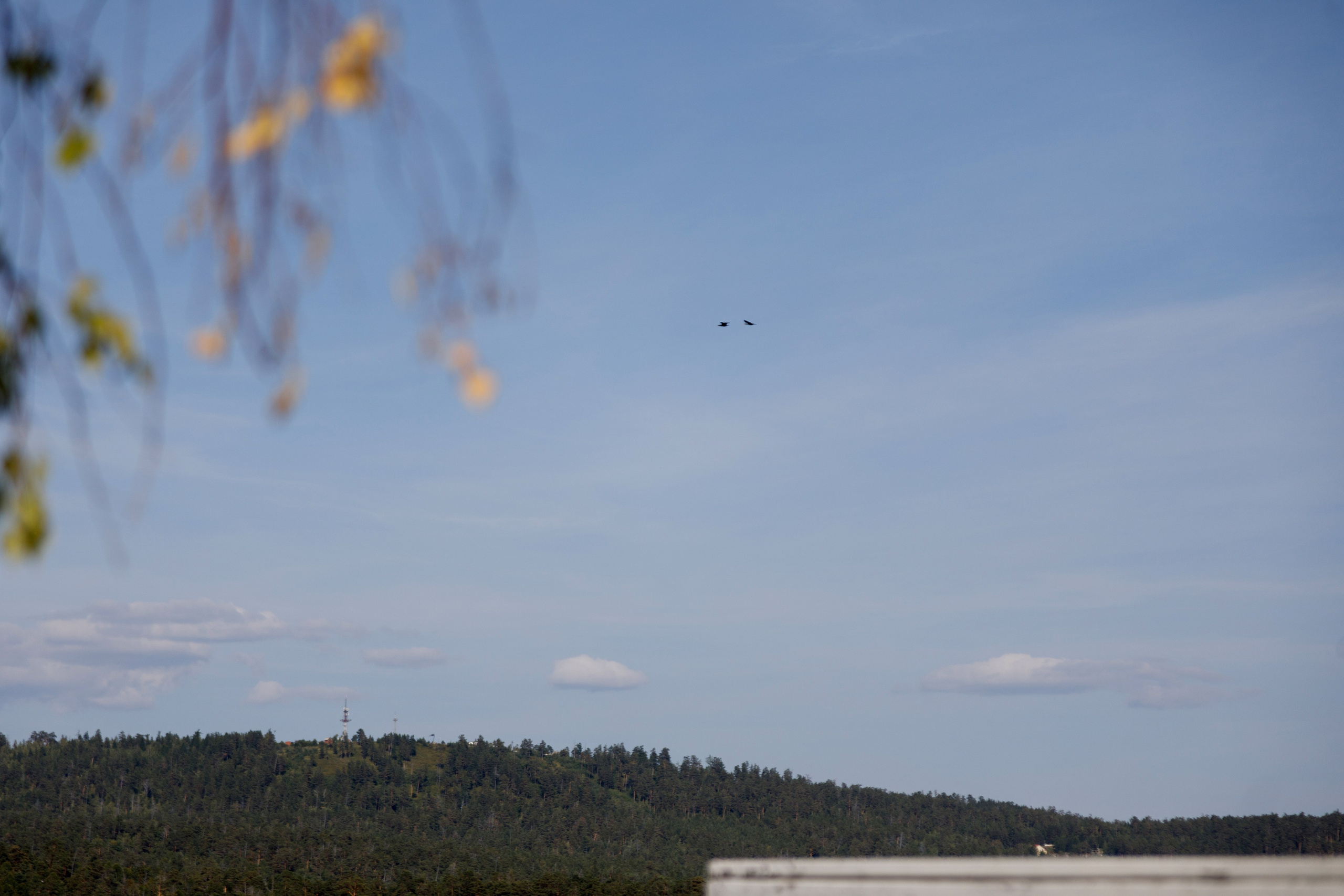 Вадим и Анастасия. Свадебный и семейный фотограф в Иркутске Яна Лиа