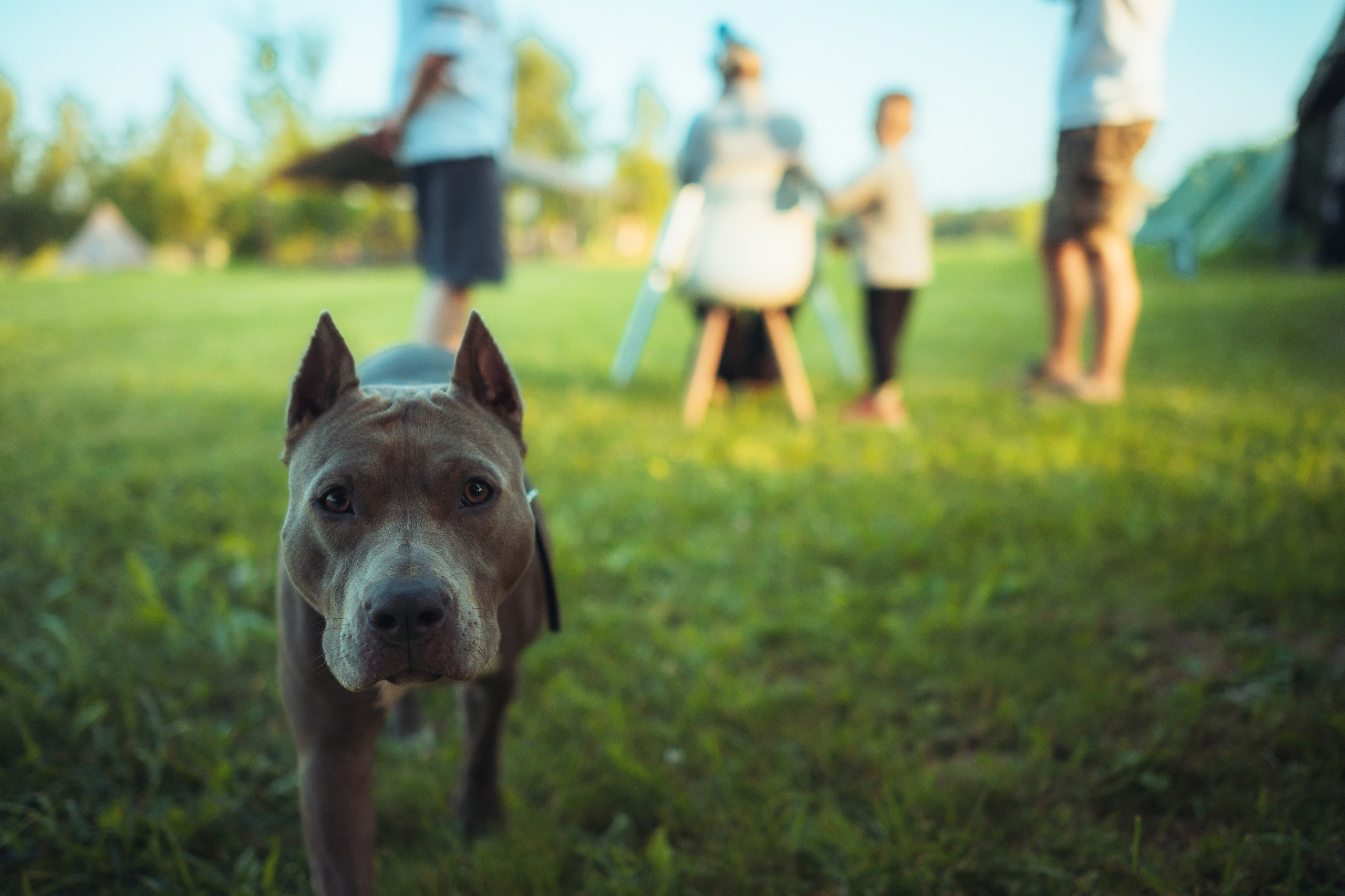 Детский лагерь — 1 смена 2025 год. Иван Кубик — фотограф и видеограф