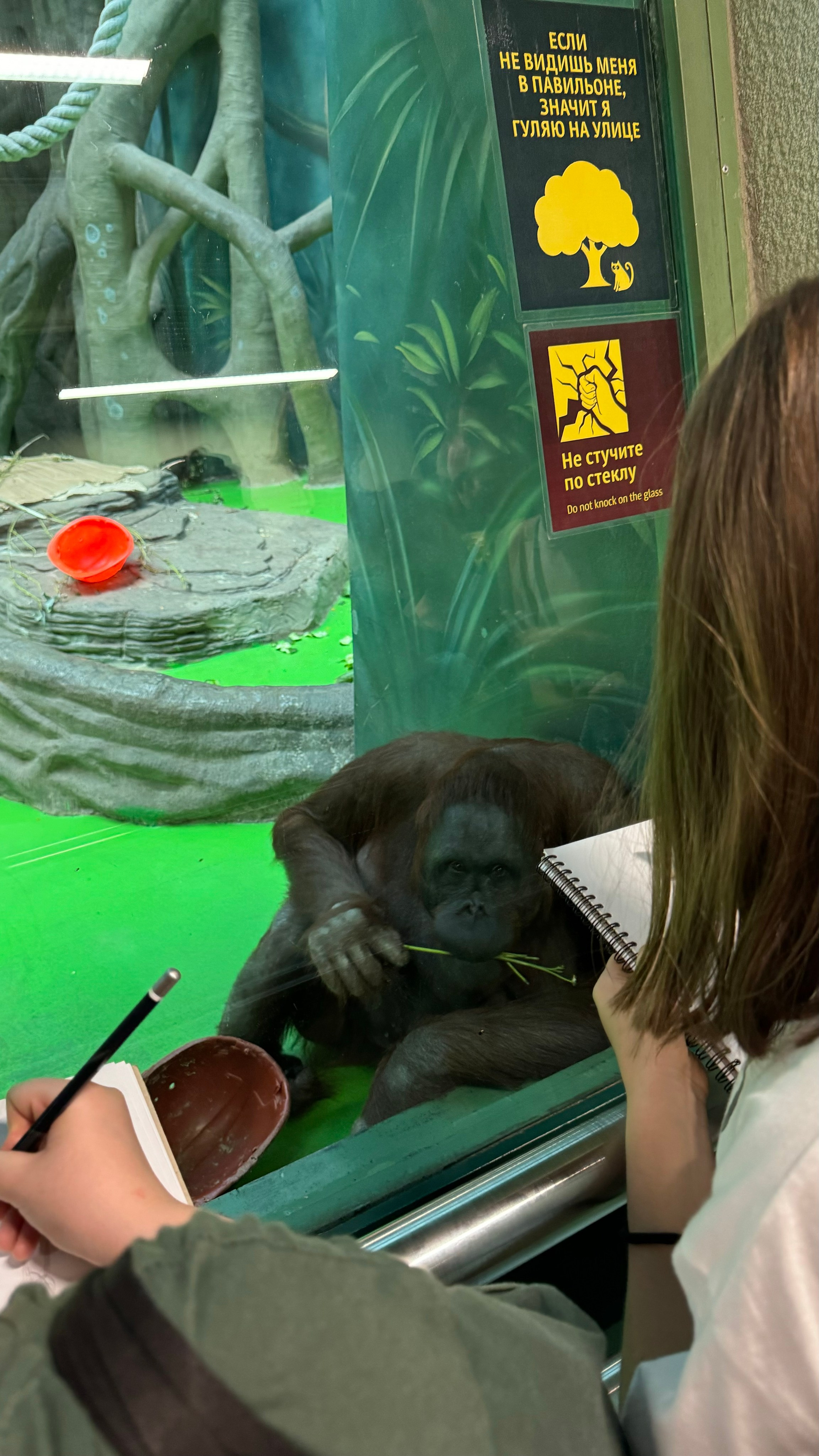 Приглашаем в арт-лагерь в Москве для детей!. Арт-вечеринки и мастер-классы в Москве для взрослых и детей