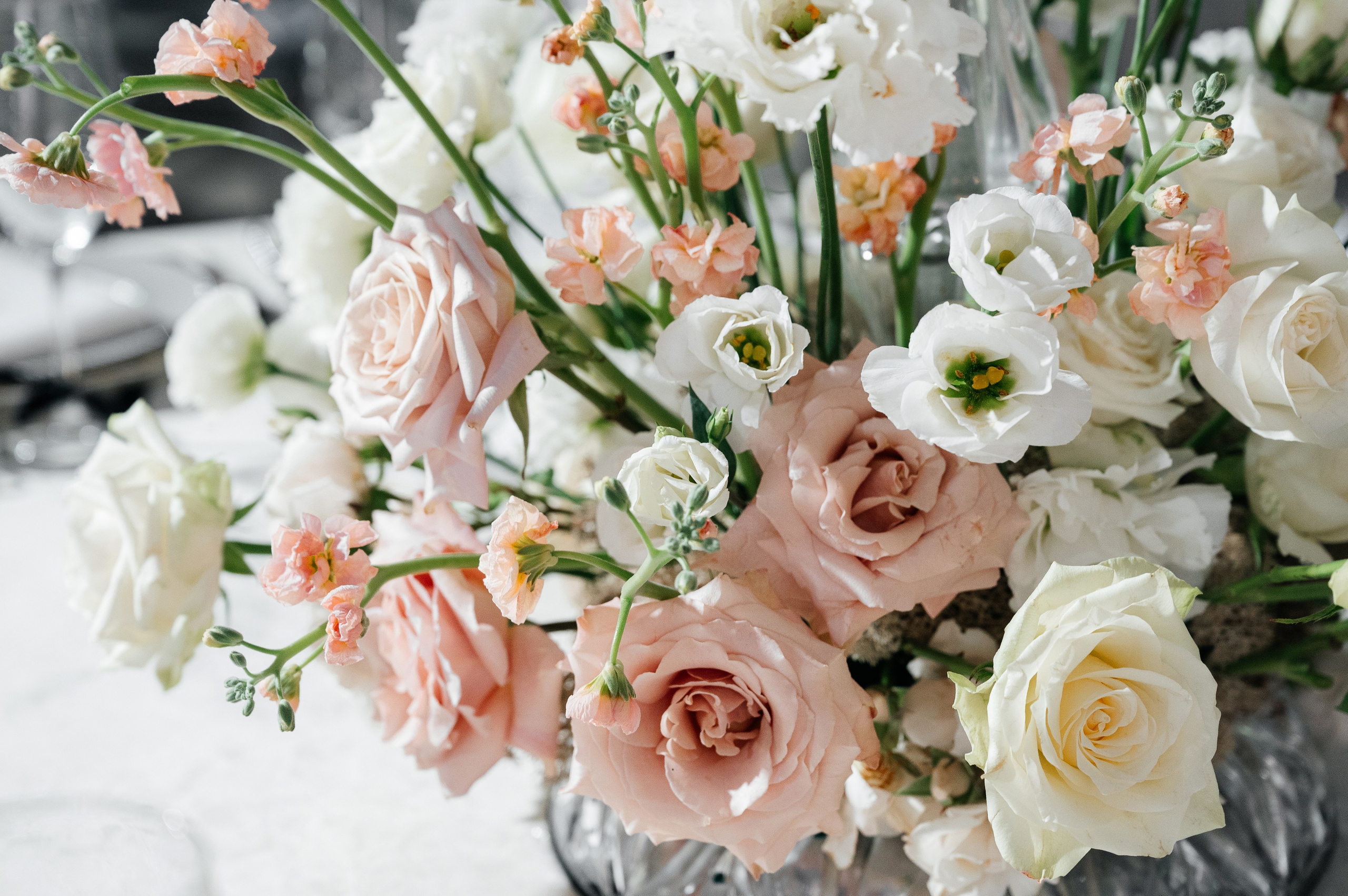 Wedding Romance and Anastasia. Wedding photographer in Moscow and around the world Andrey Medvednikov