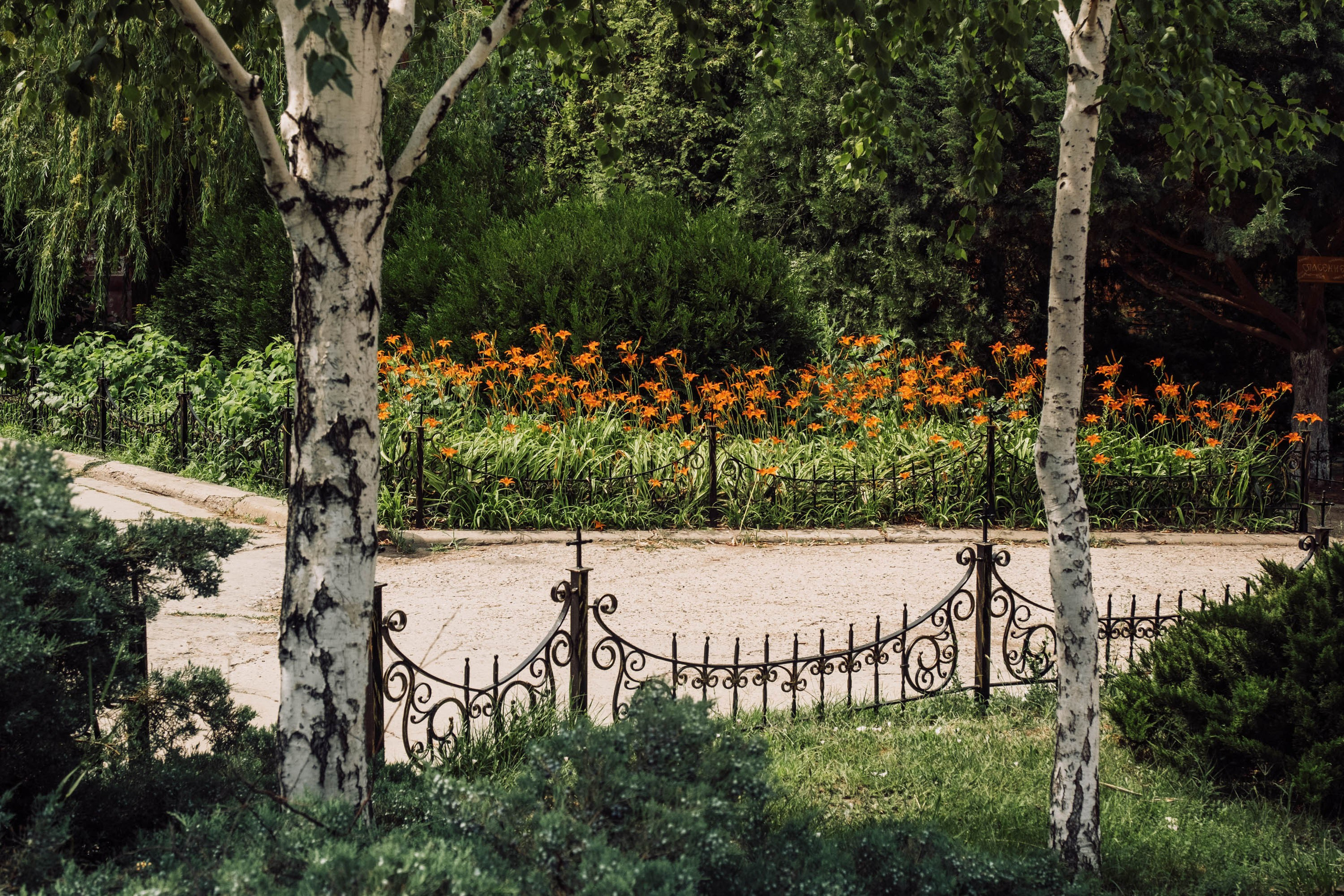 Иоанно-предтеченский монастырь. Фотограф Анатолий Деникин