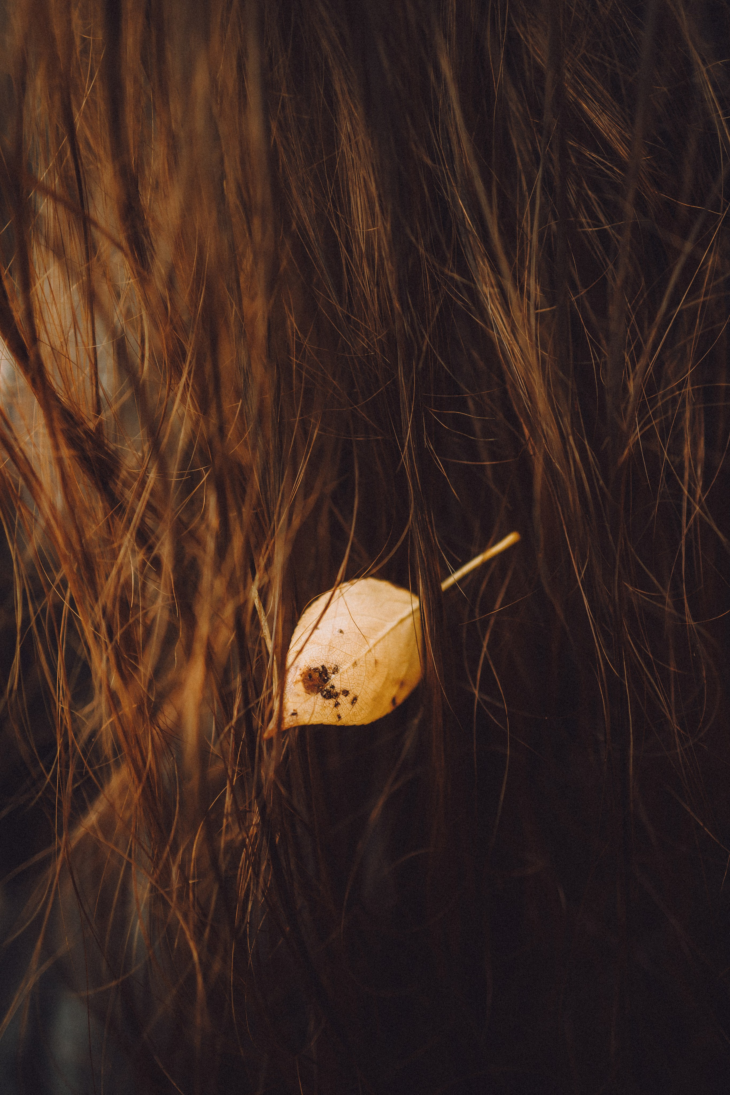 Даша и Биби