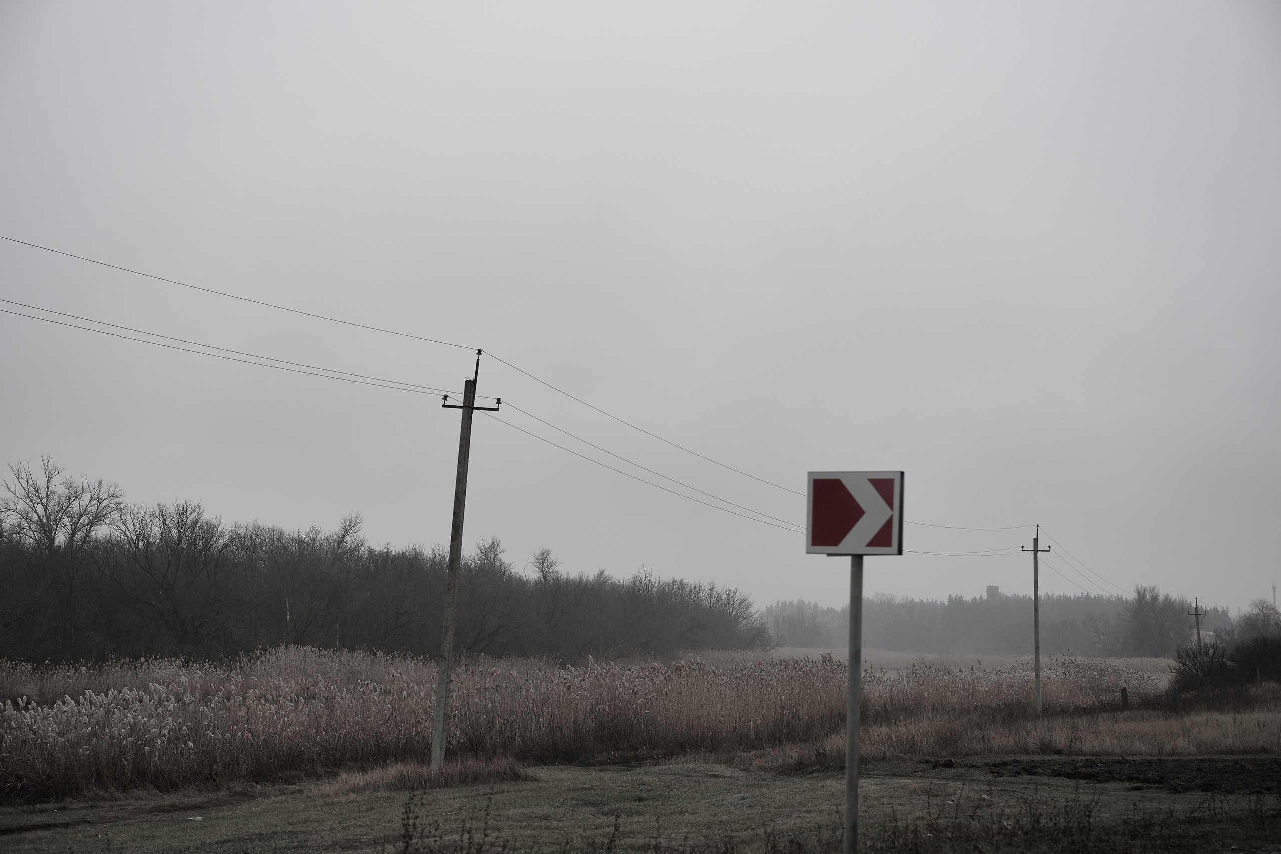 Дорога домой. Туман. Фотограф Роман Адлер