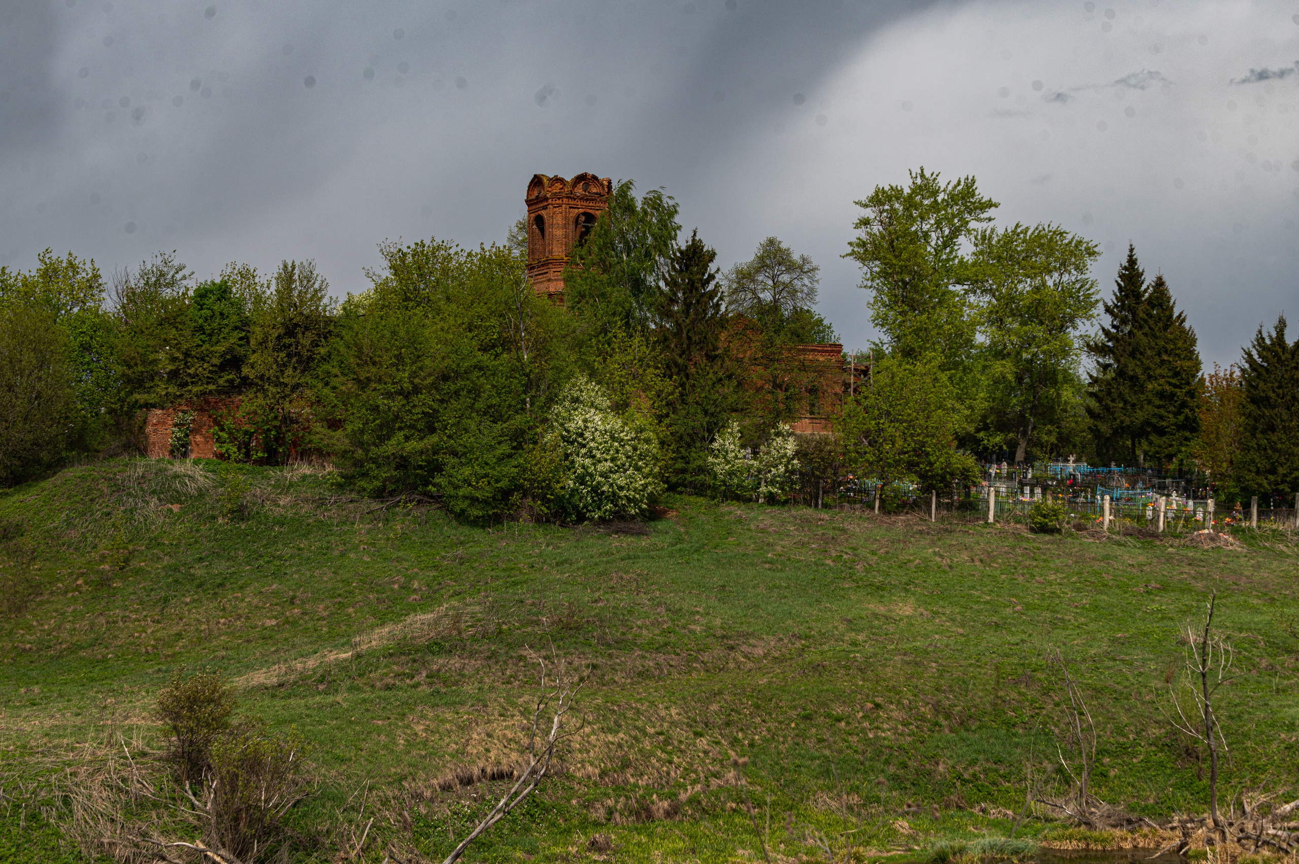 Суздаль. Май 2023. Фотограф Роман Адлер