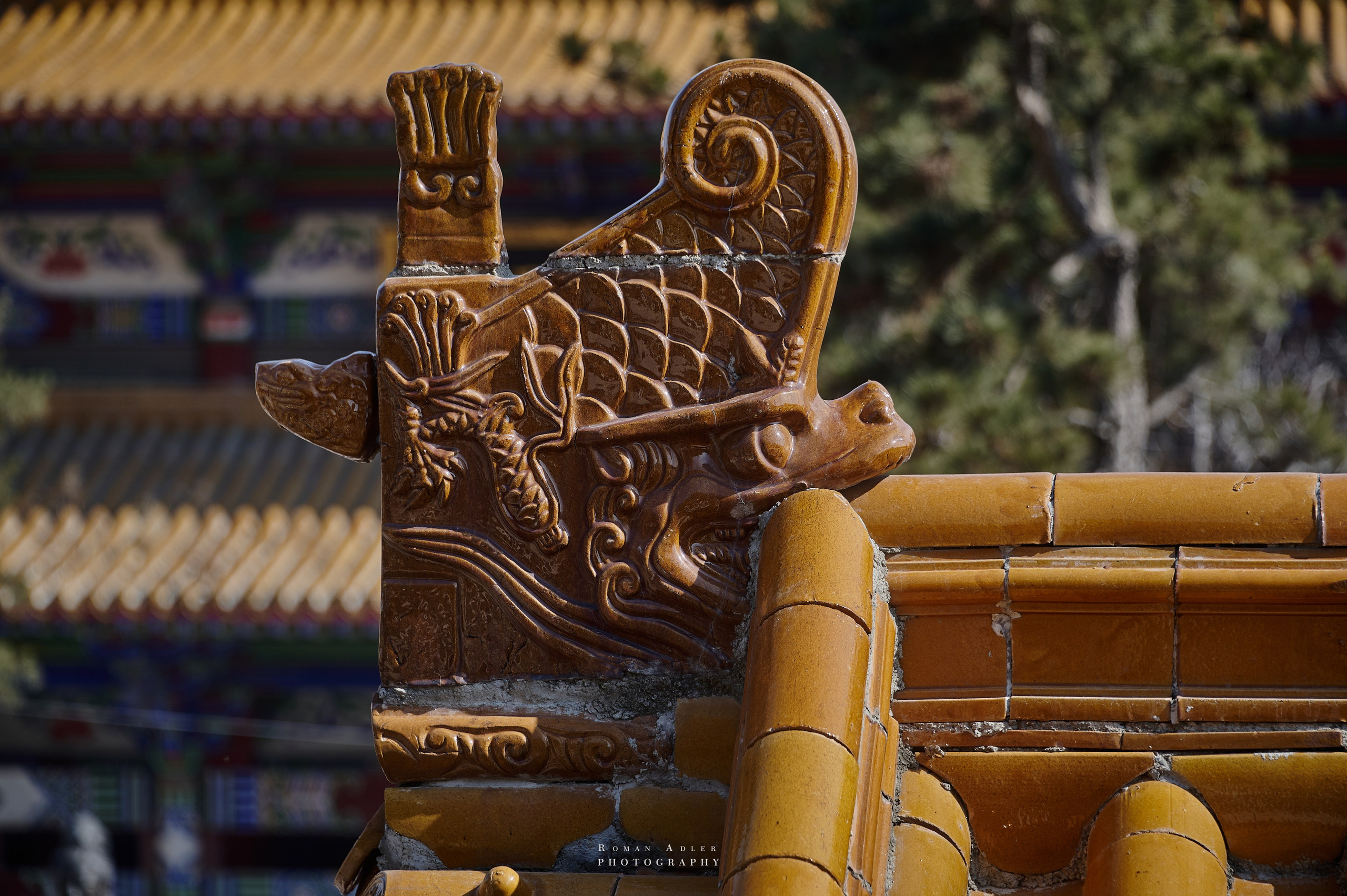 Храм Гуанфу (Процветания). Цинчжоу. Фотограф Роман Адлер