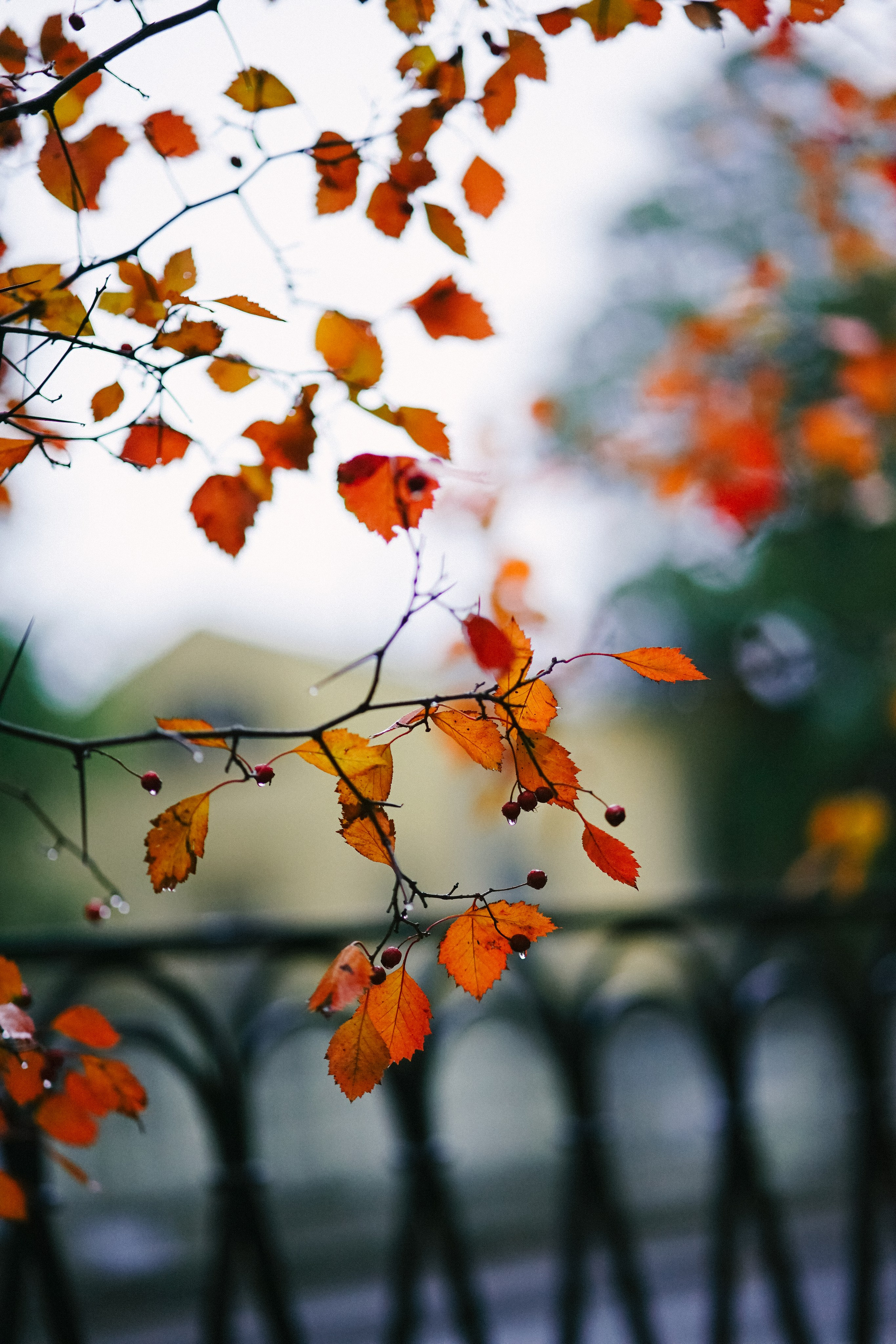 Москва. Фотограф Екатерина Катунова | Москва