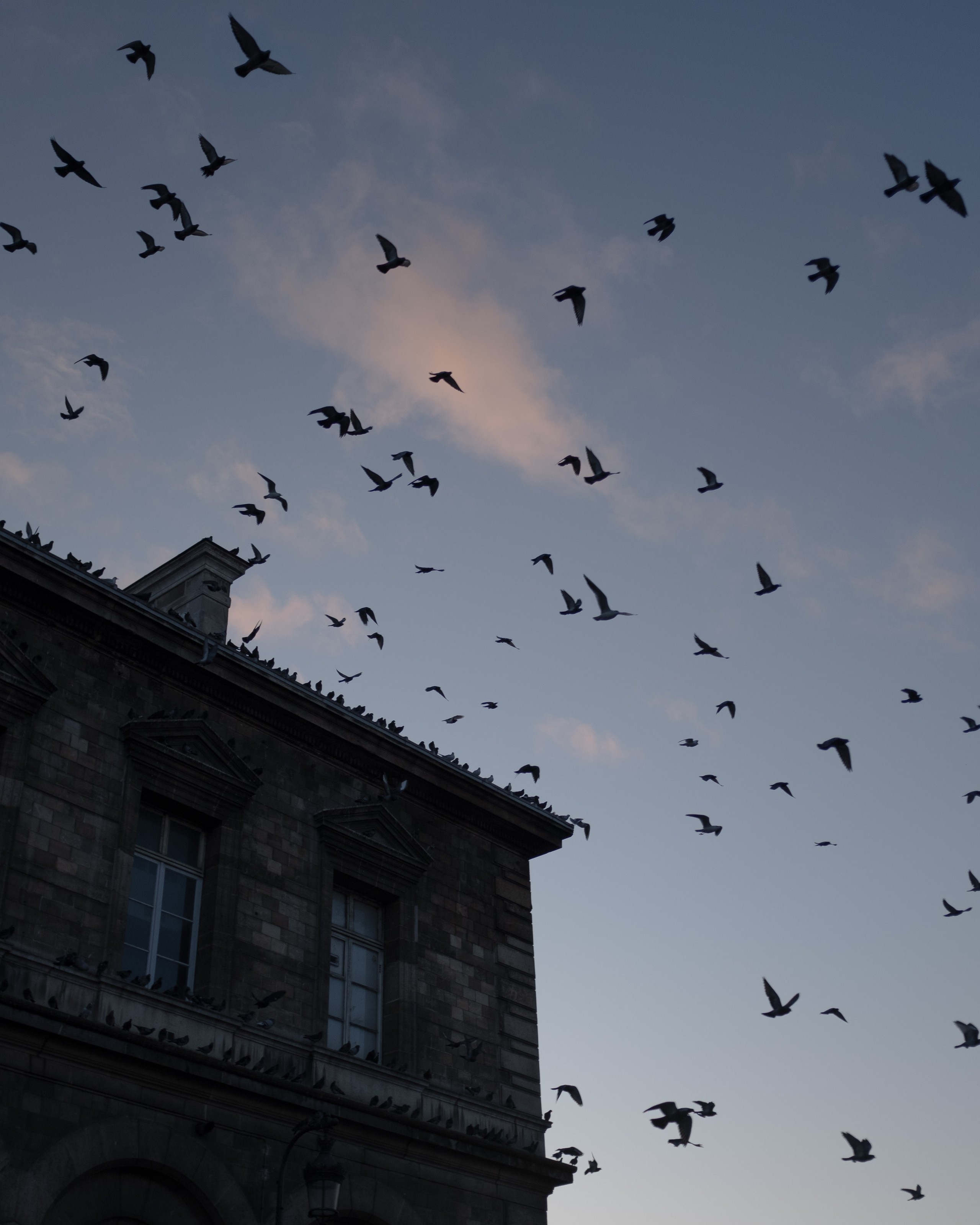 Франция. Фотограф Екатерина Катунова | Москва