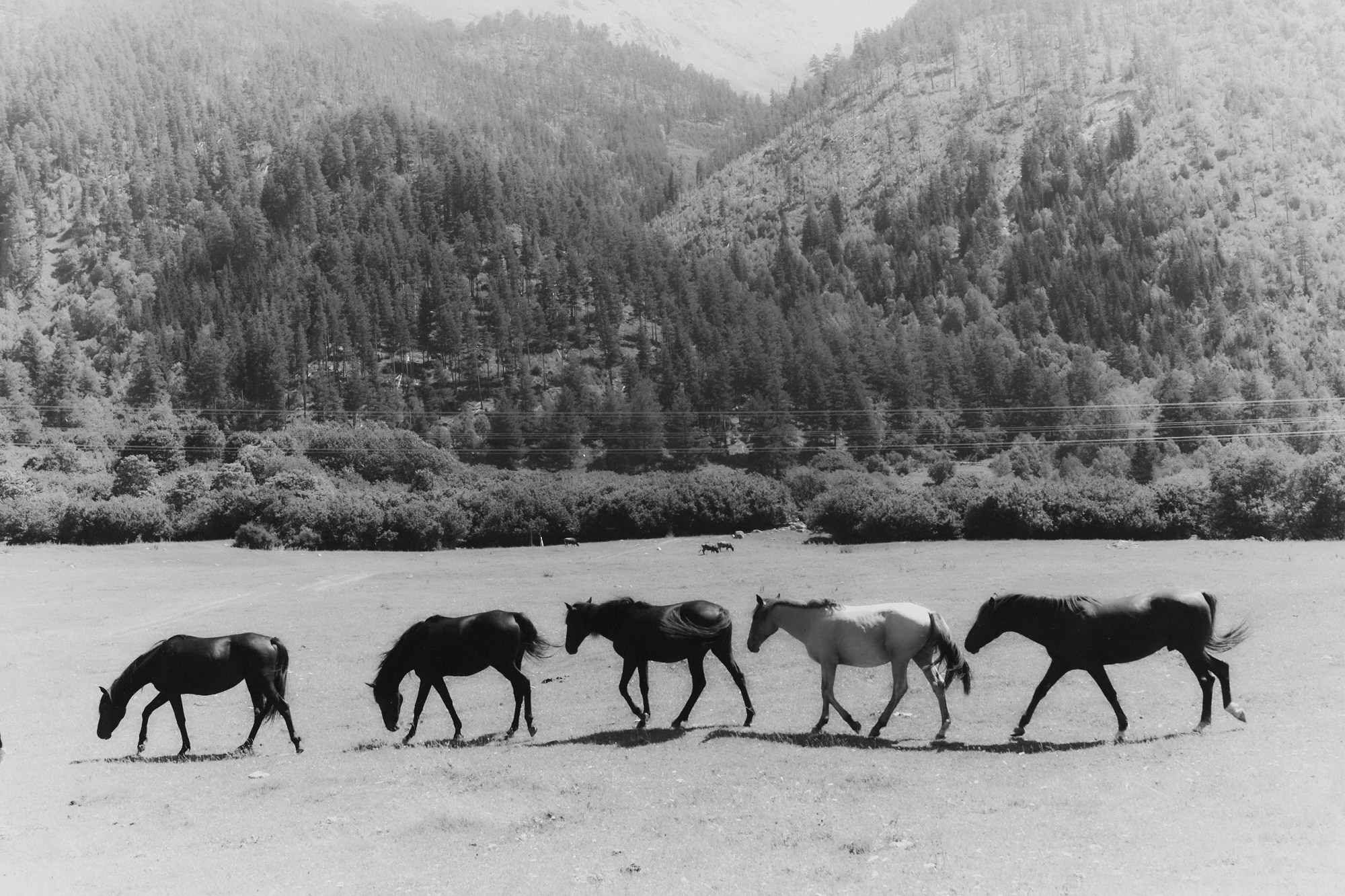 TRAVEL. EVGENYA PERESADOVA