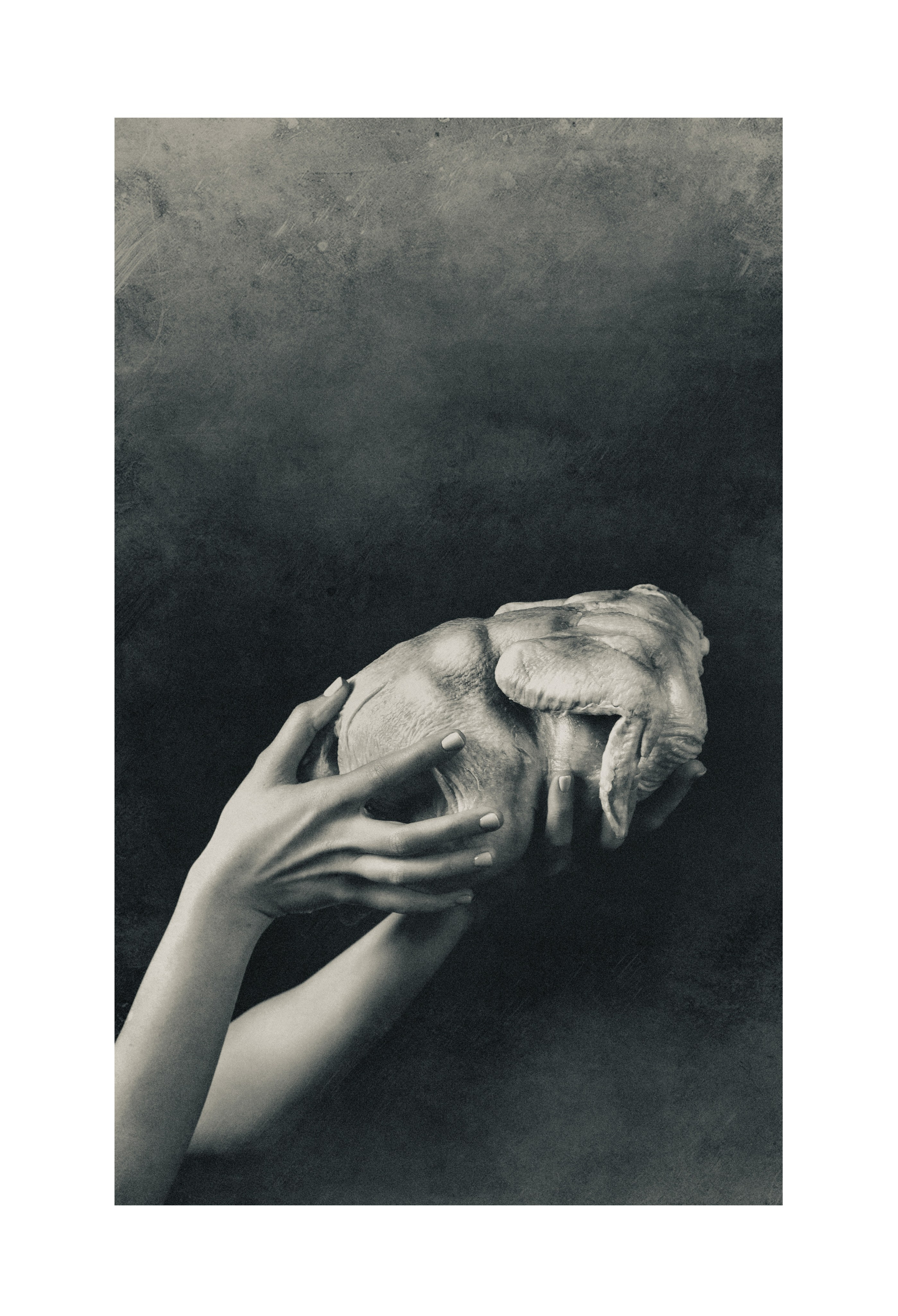 Conceptual. Photo artist Adomas Dombrauskas