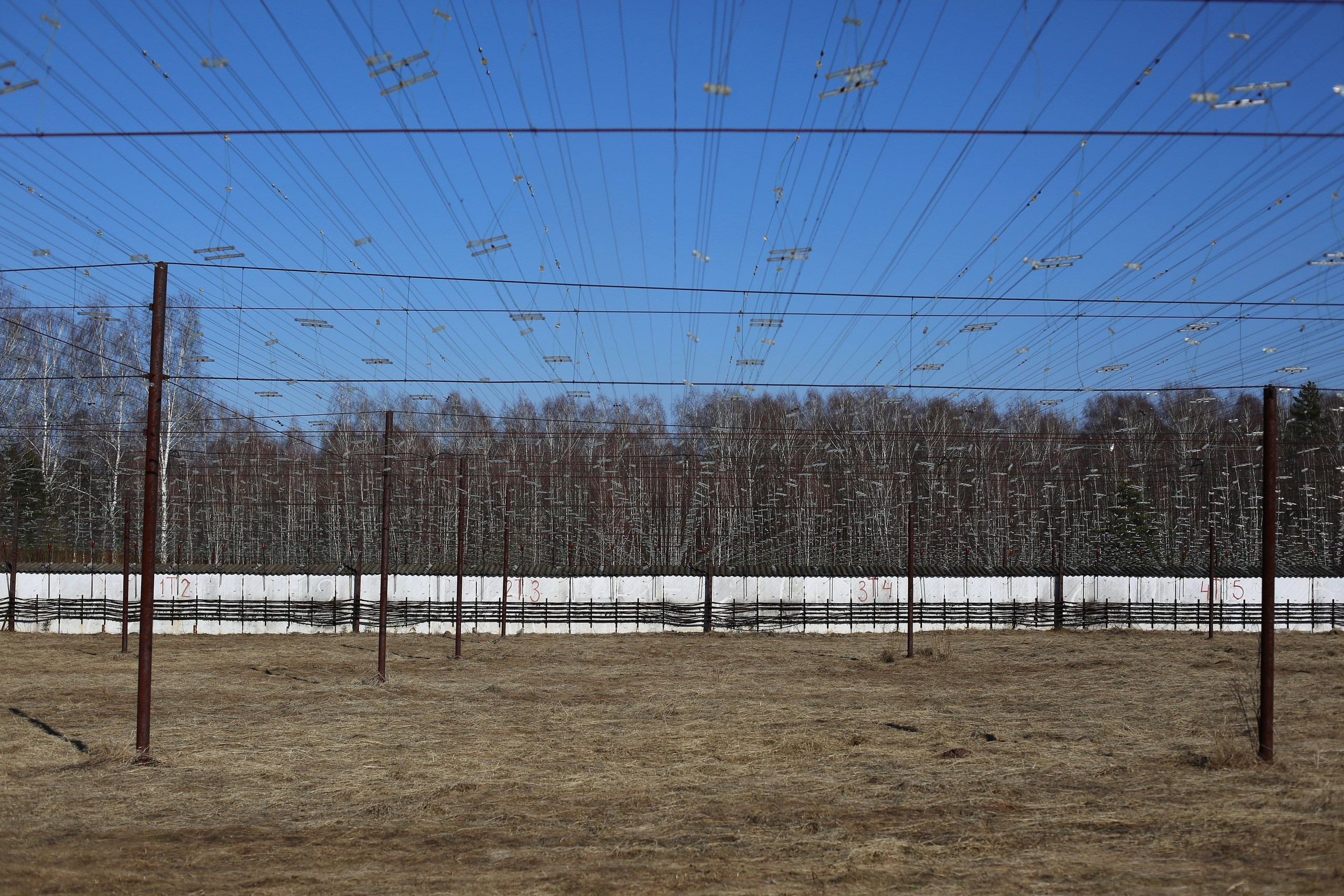 Мероприятия. Фотограф Дарья Комарова