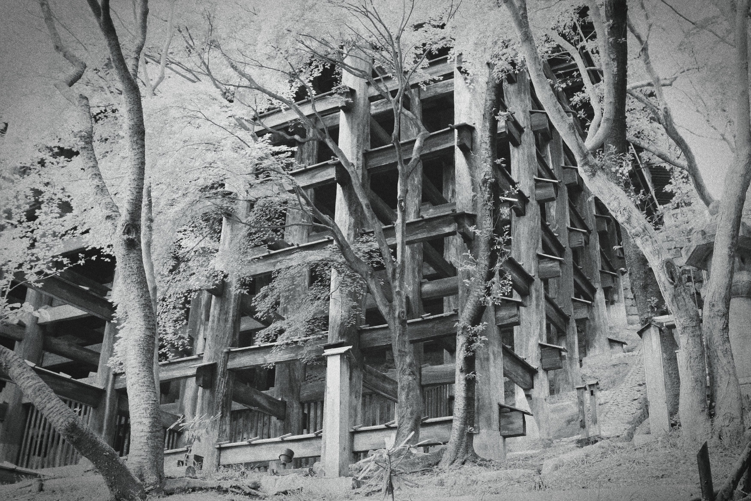 Япония. Фотография, ретушь, сканирование, восстановление старых фото, интерьерная съёмка, студия. Данилов Александр, Москва