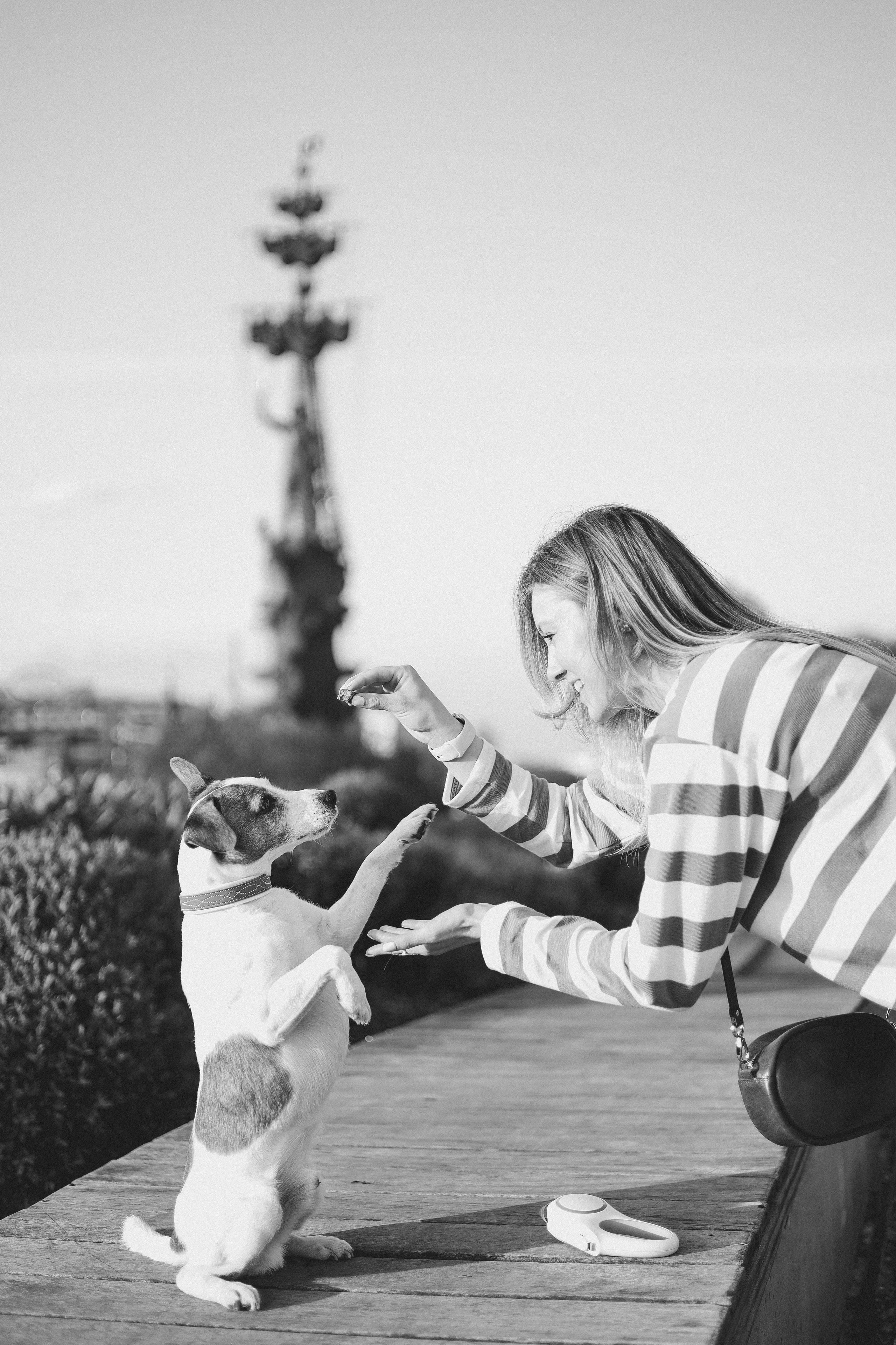 Оксана и Джек. Диана Чечель. Свадебный и портретный фотограф в Москве
