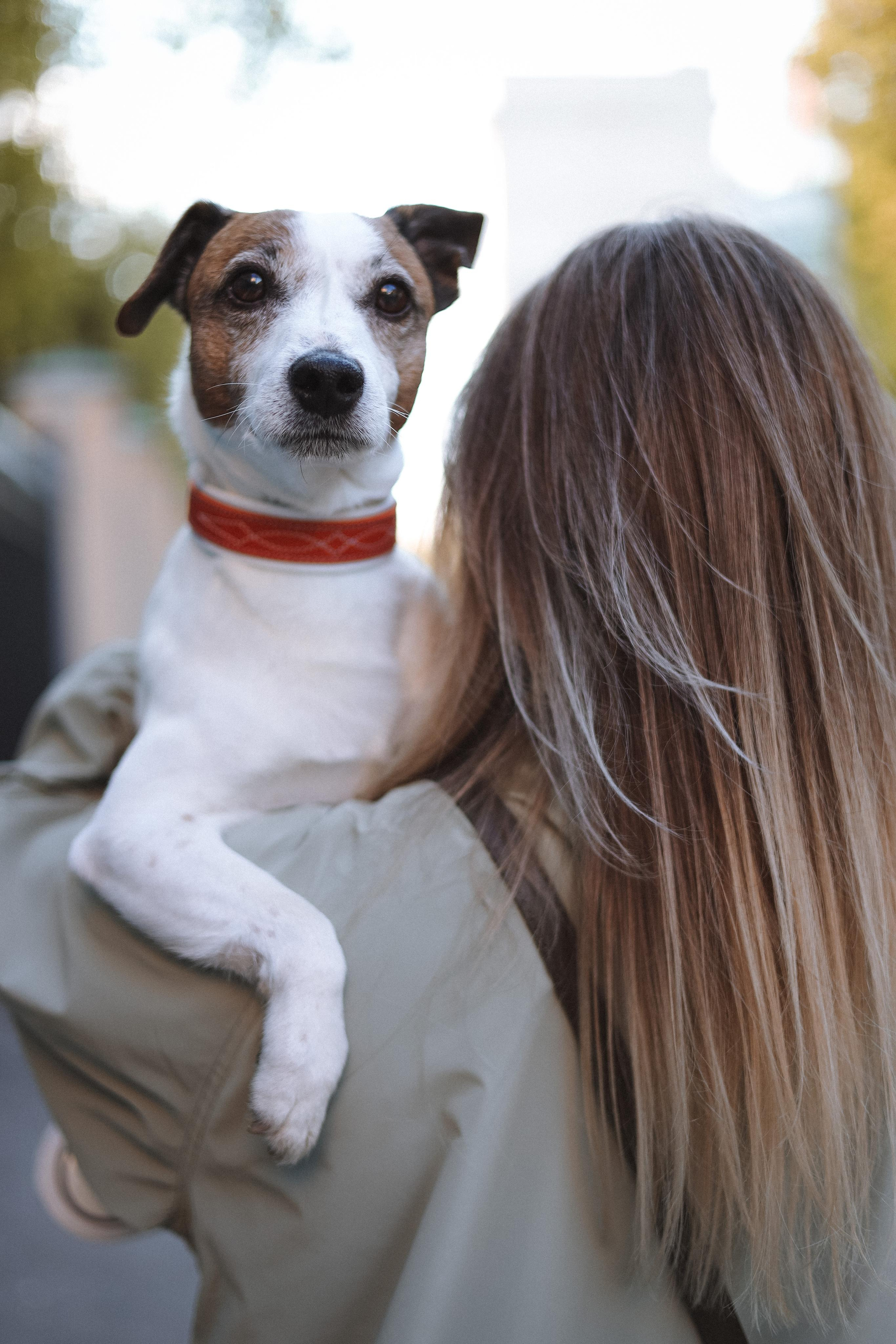 Оксана и Джек. Диана Чечель. Свадебный и портретный фотограф в Москве