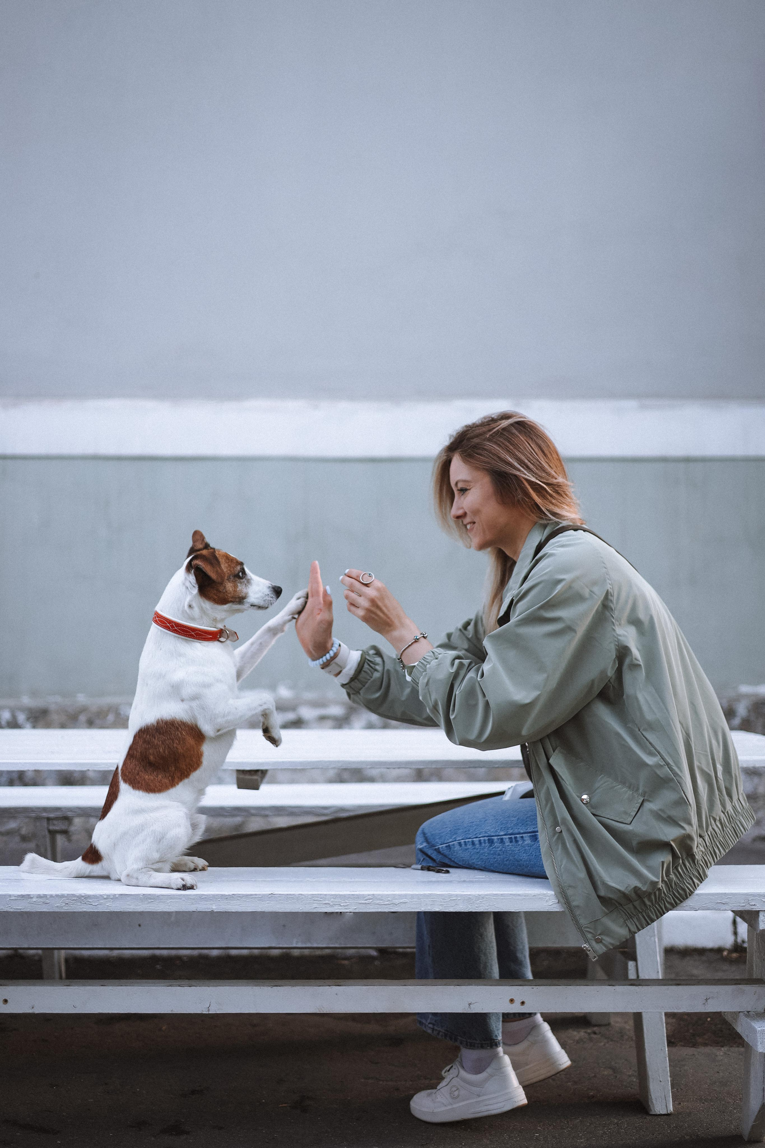 Оксана и Джек. Диана Чечель. Свадебный и портретный фотограф в Москве