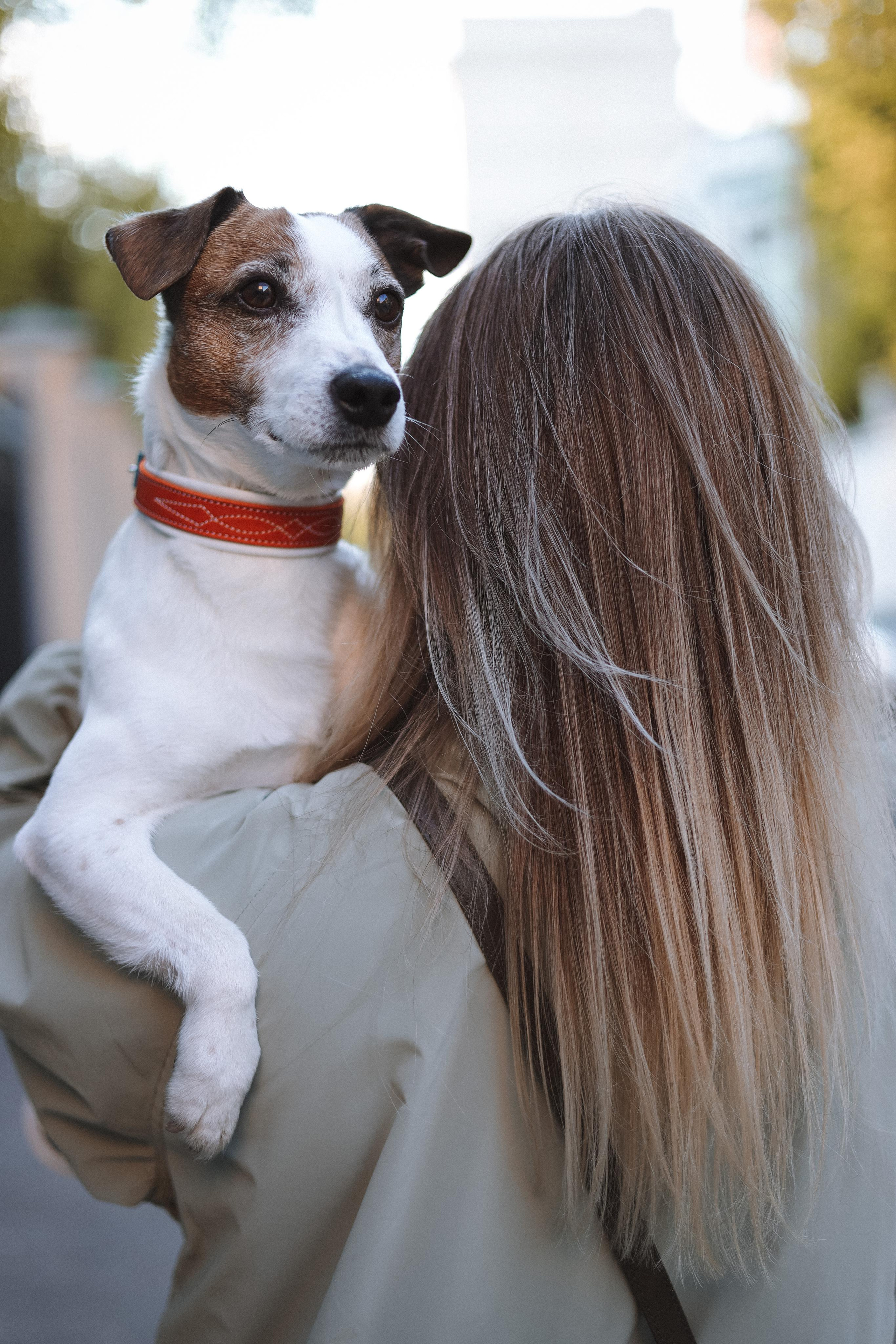 Оксана и Джек. Диана Чечель. Свадебный и портретный фотограф в Москве