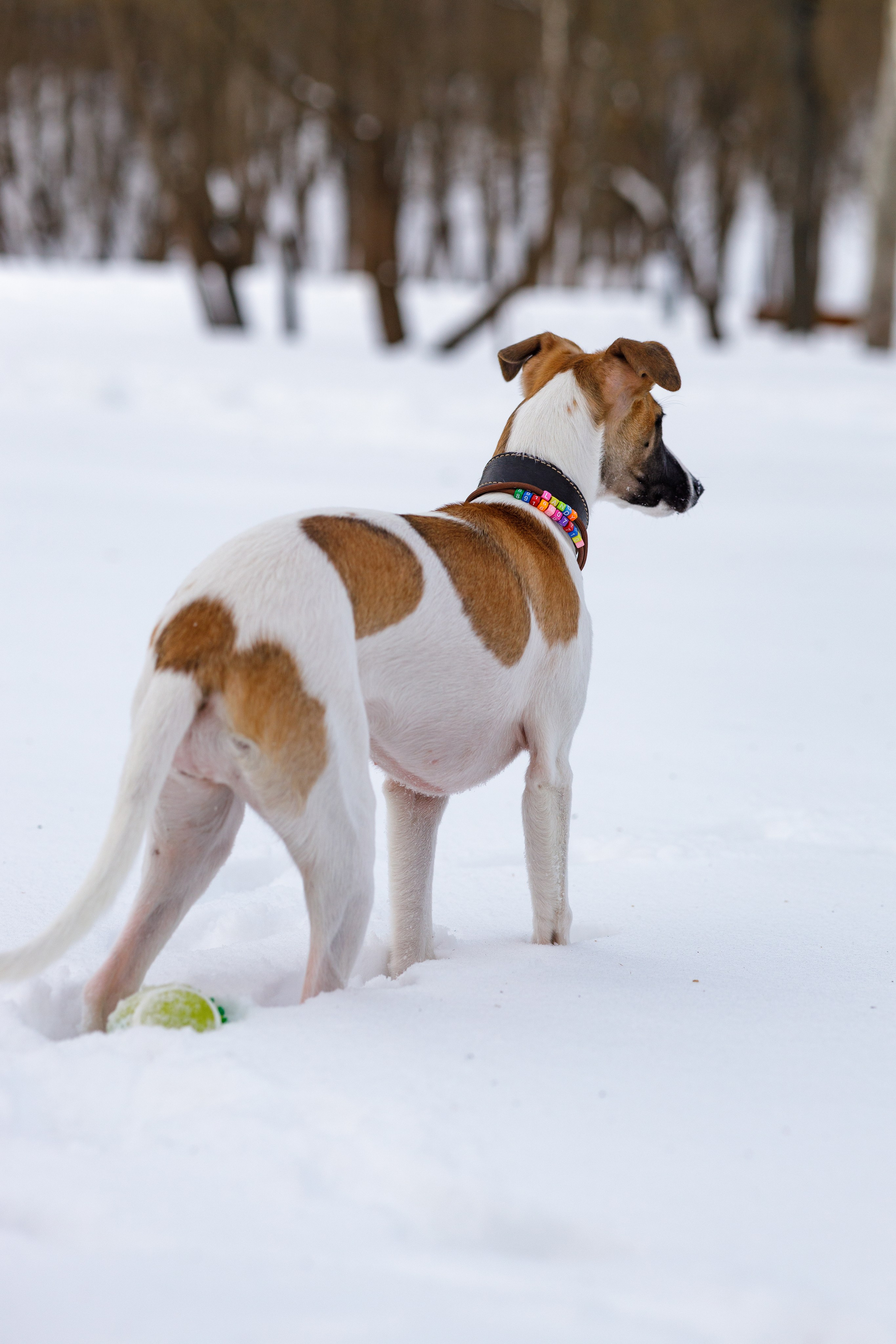 Ланди. Анна Самохина. Фотограф. Москва