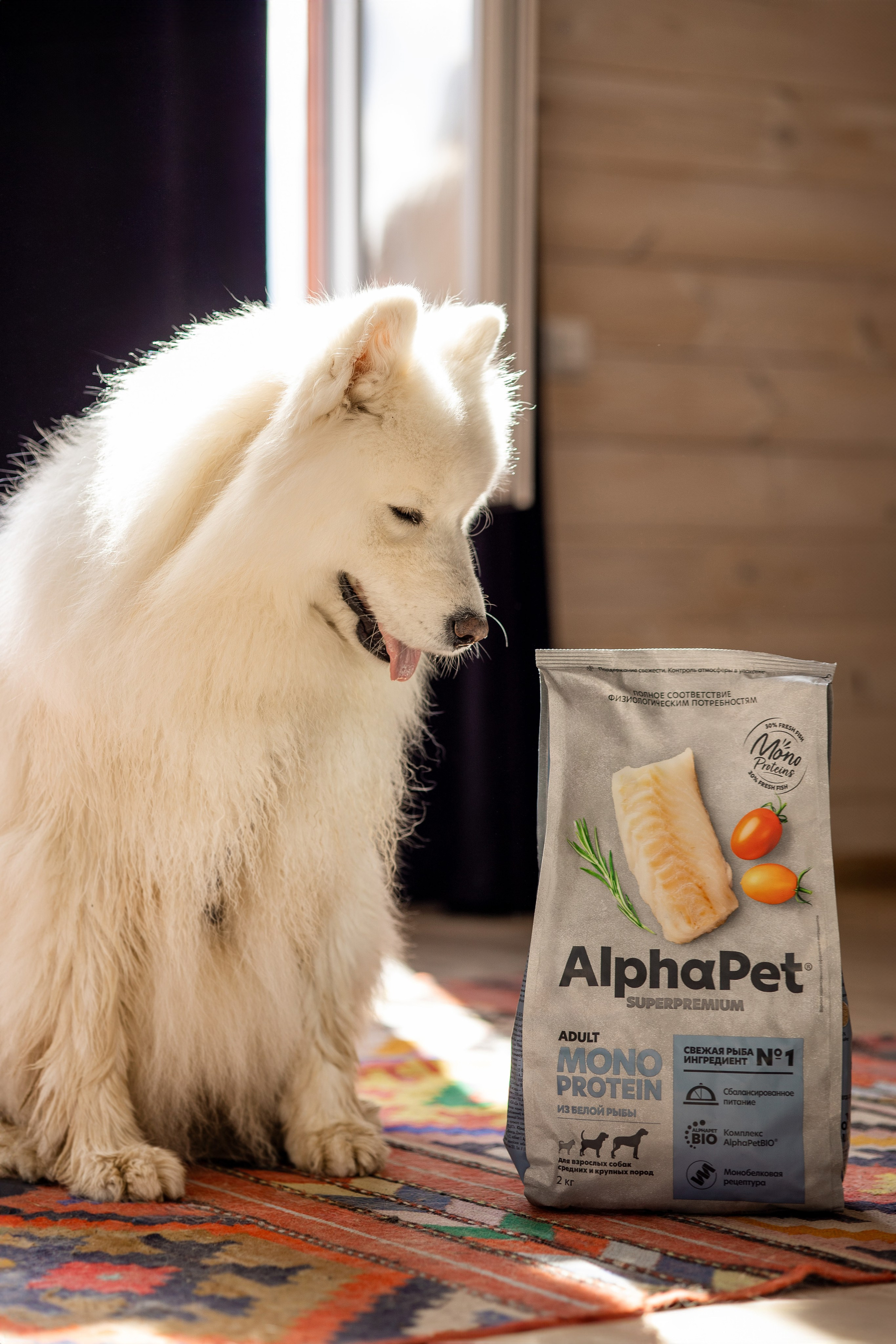 Корм AlphaPet. Анастасия Белаш