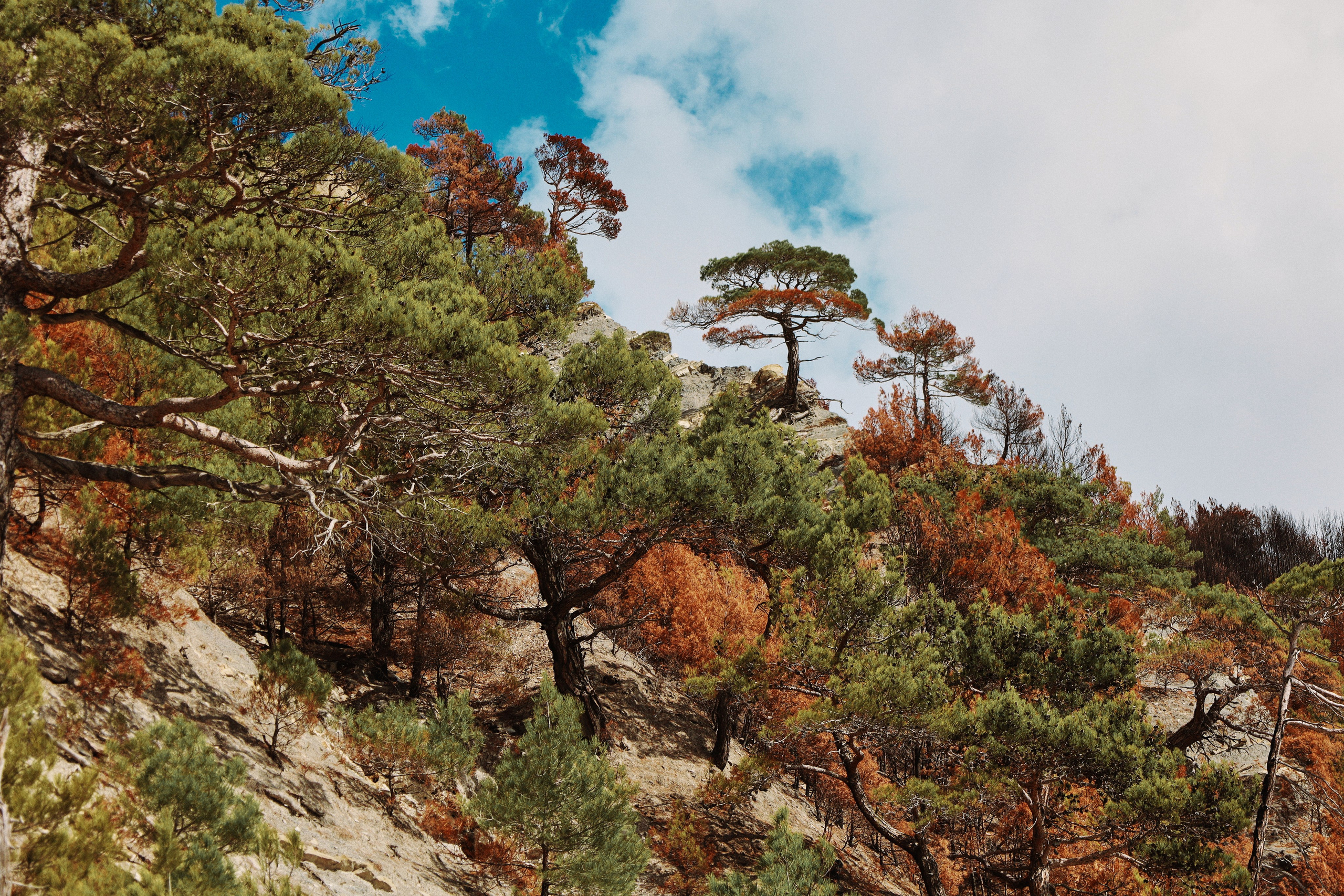 Пейзажи и уличная съёмка