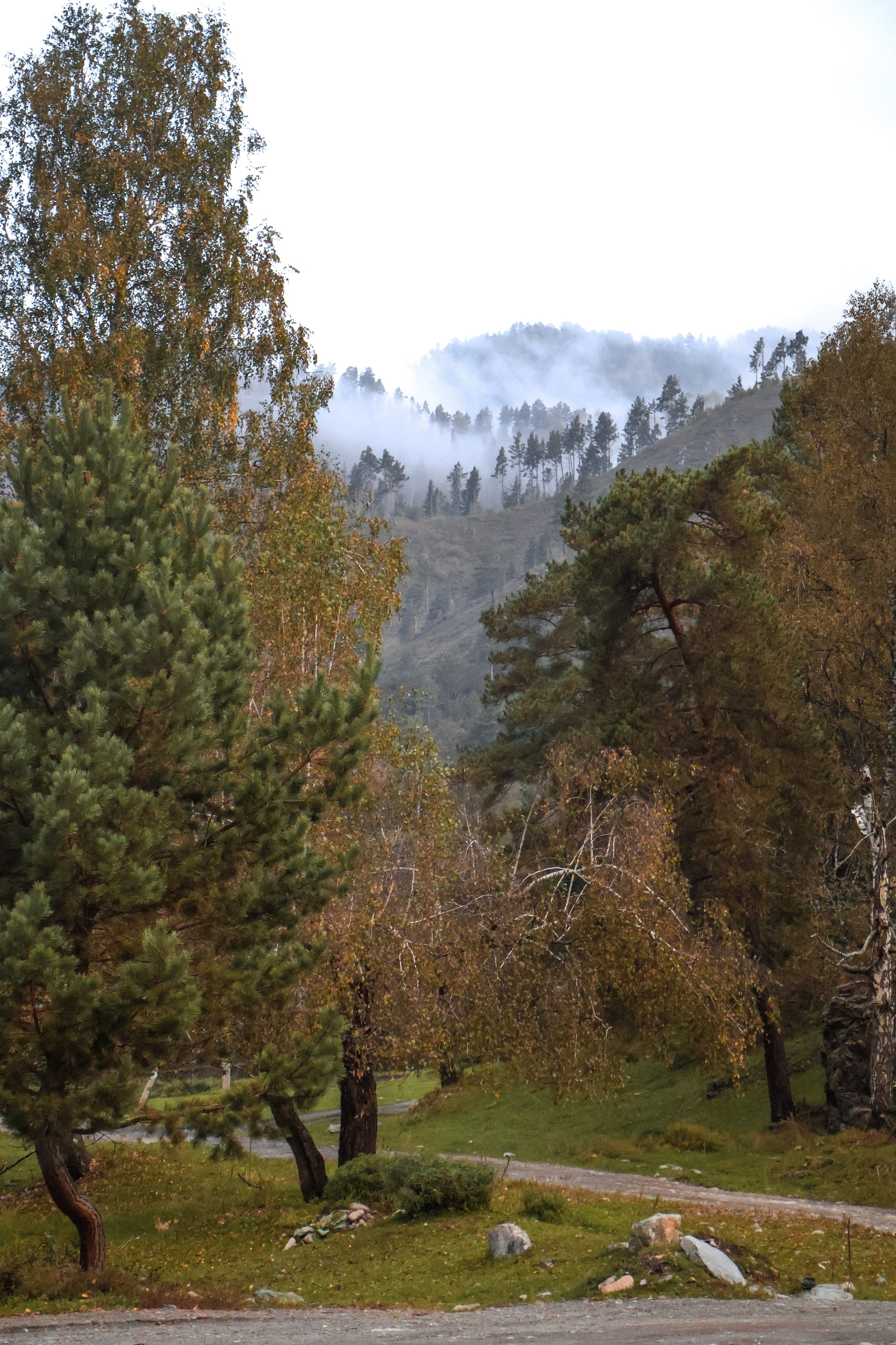 «Территория счастья» база отдыха, респ. Алтай. Контент фотограф Дмитрий Борисов