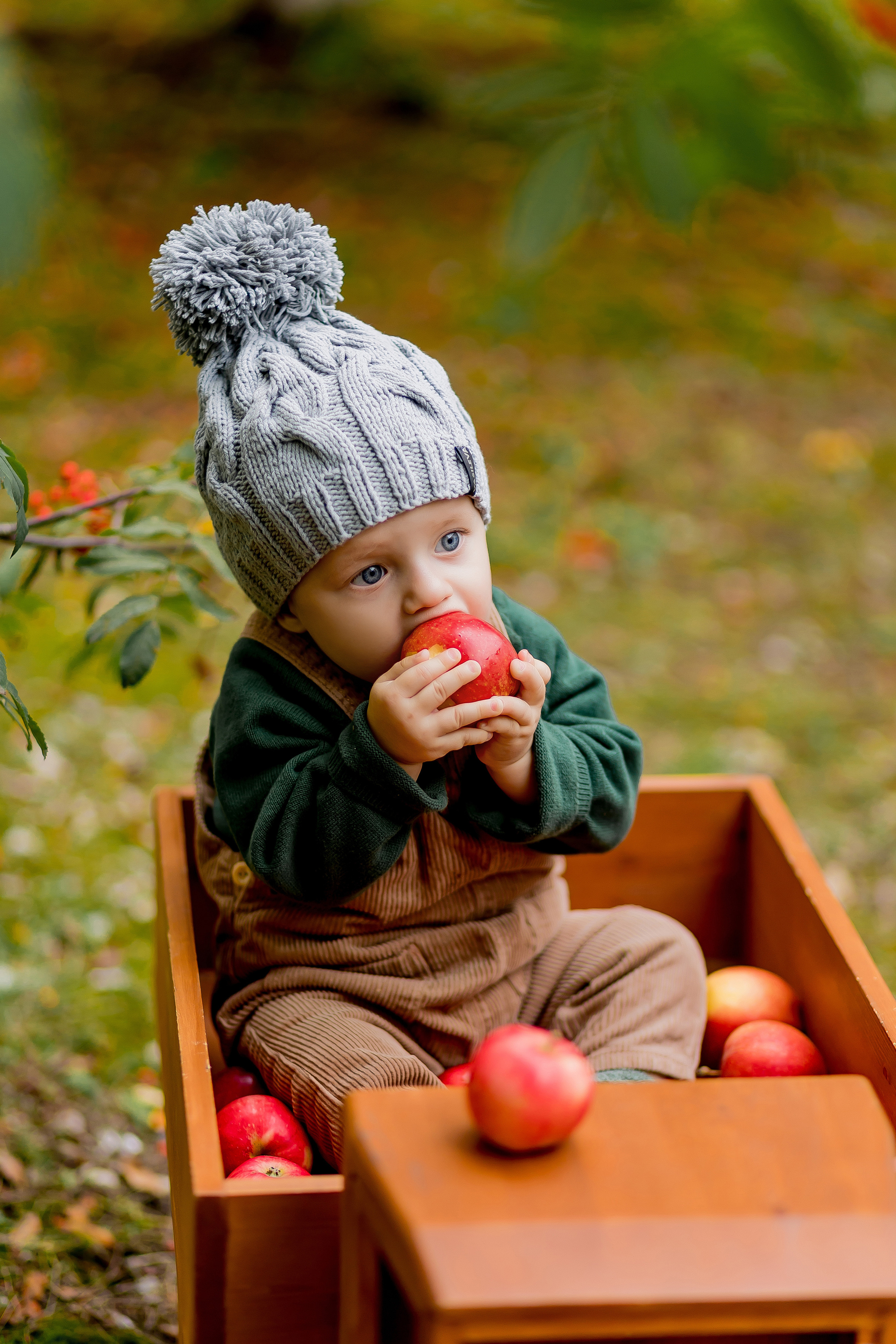 Гордей. Детский и семейный фотограф город Артём Елена Пушкина, Приморский край
