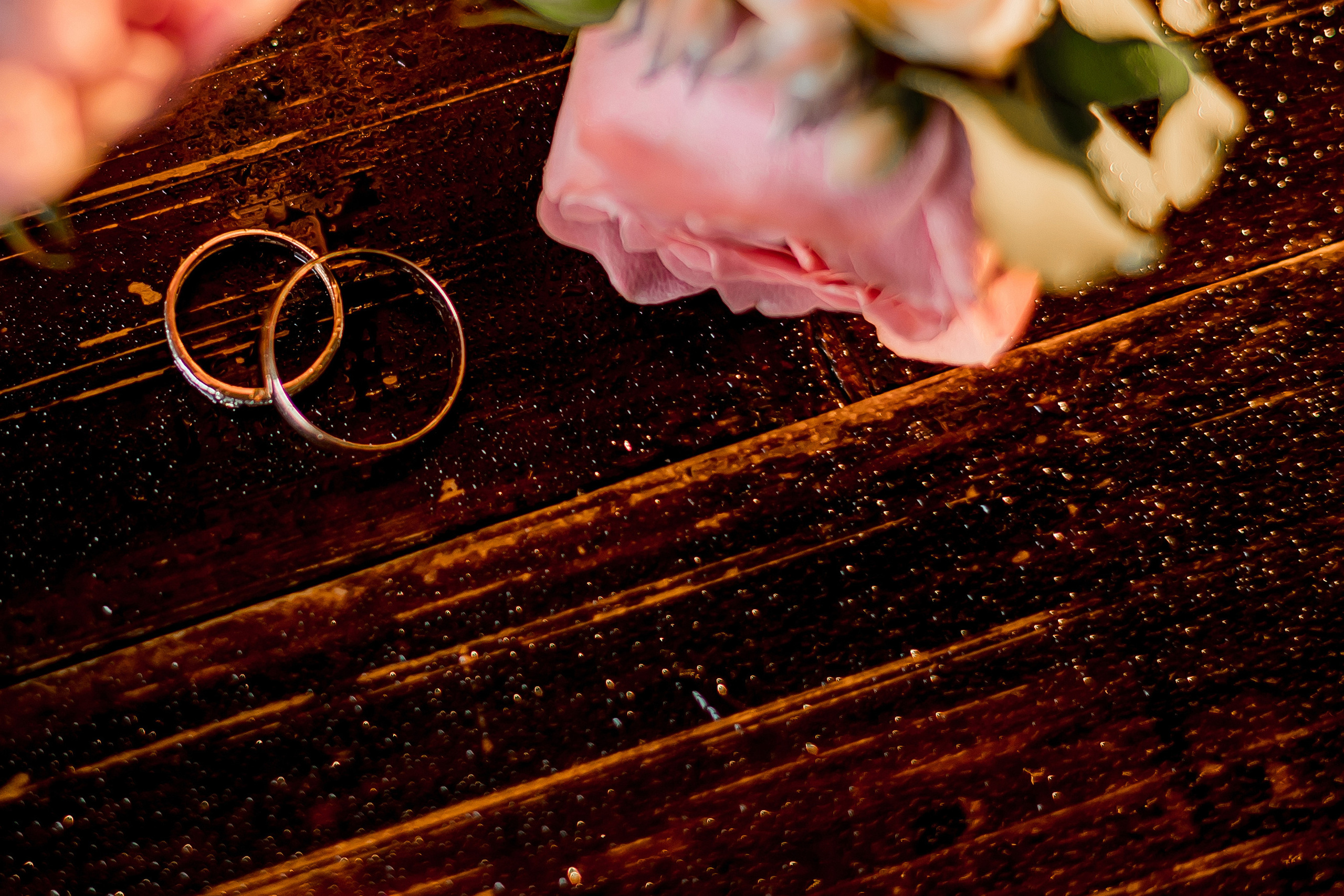 Елизавета и Александр. Детский и семейный фотограф город Артём Елена Пушкина, Приморский край