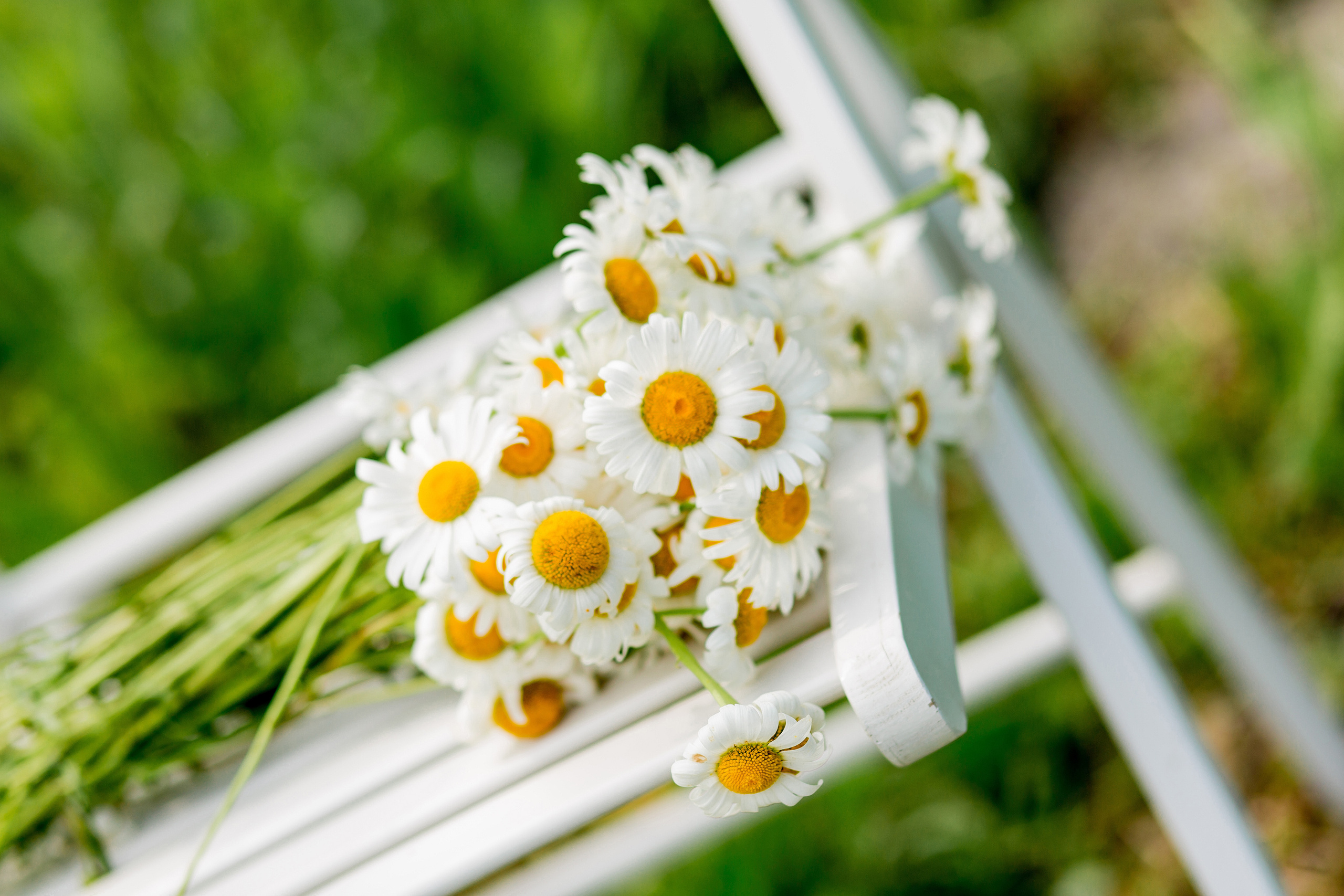 Ольга. Детский и семейный фотограф город Артём Елена Пушкина, Приморский край