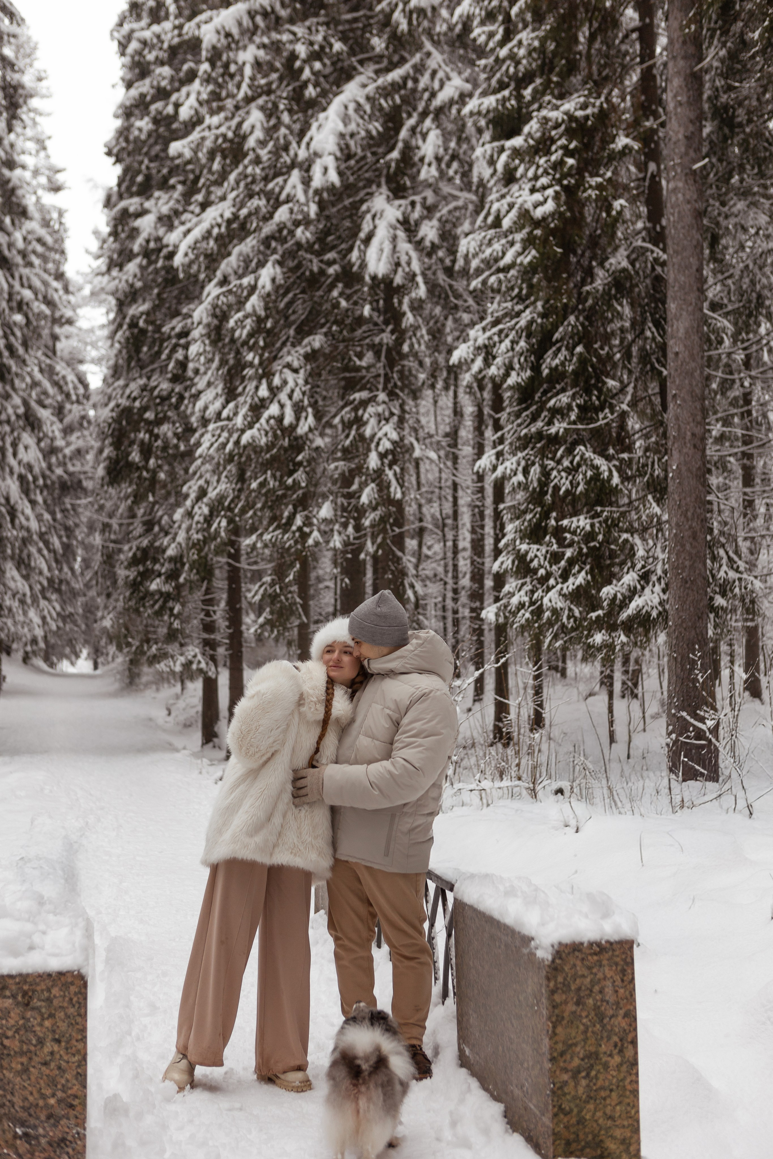 Новогодняя фотосессия с собачками в шуваловском парке. Свадебный фотограф в СПБ | Санкт-Петербурге Анастасия Рахимгулова