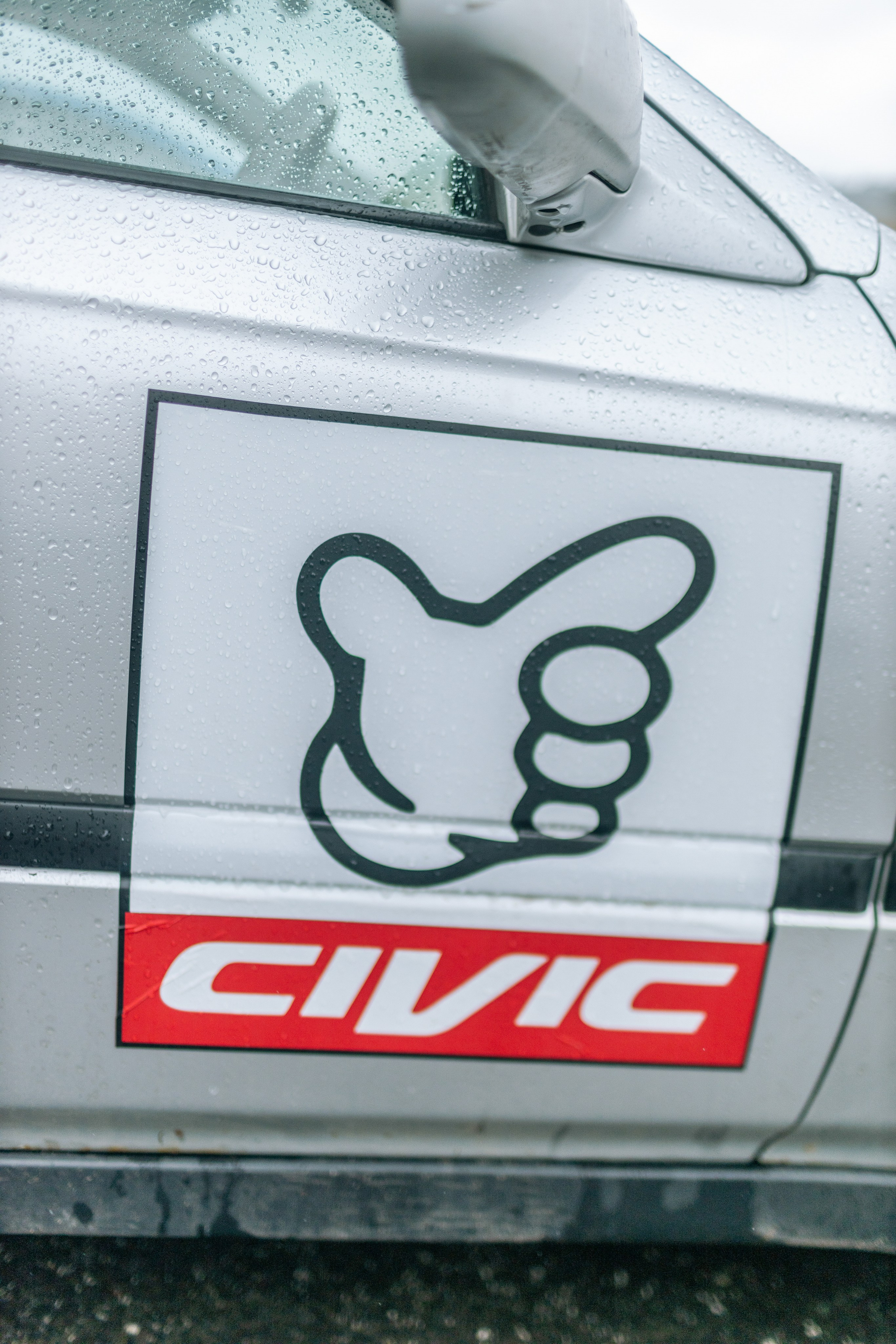 Биба и Боба. Портфолио свадебного фотографа. Роман Каргаполов