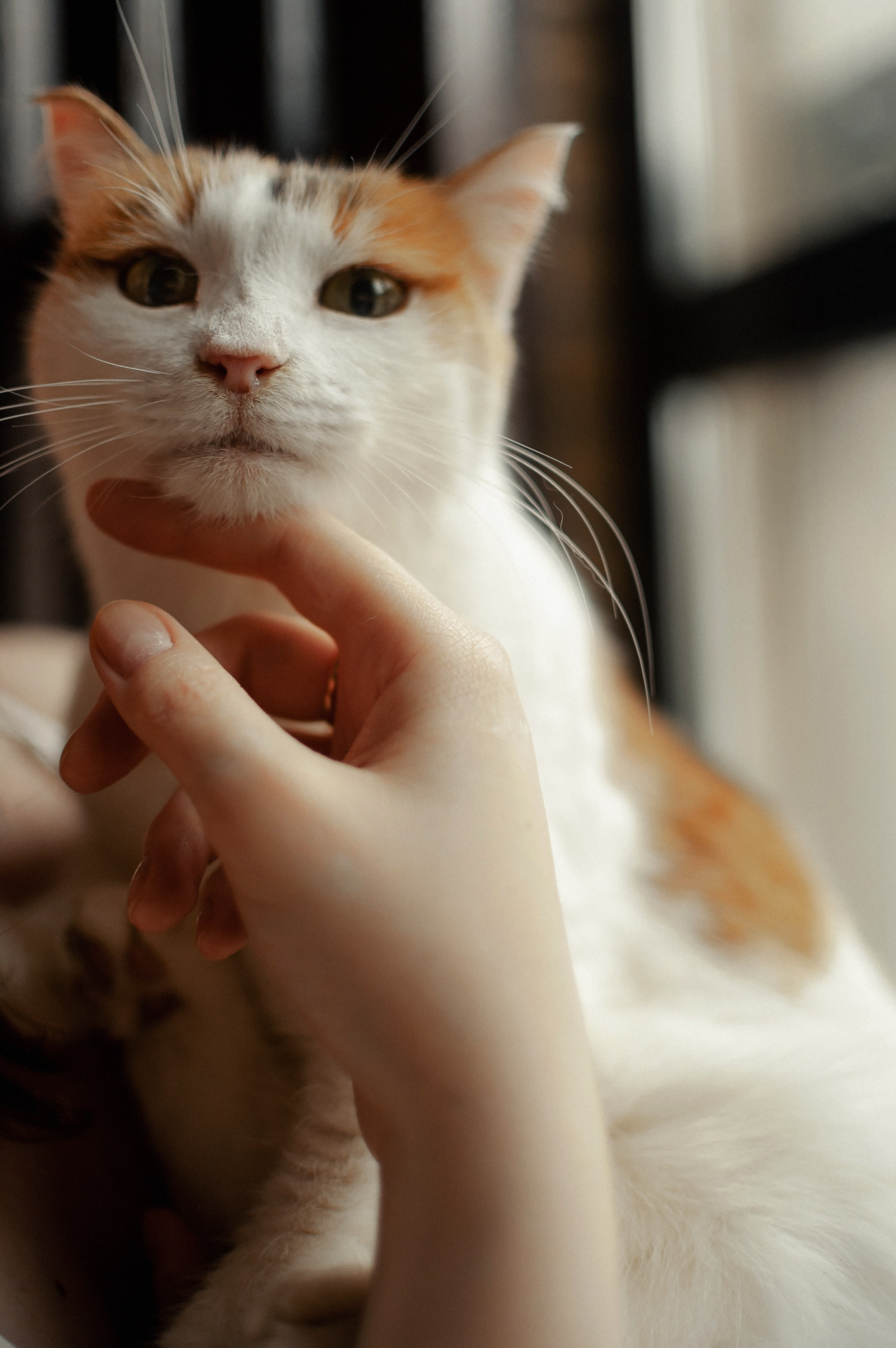 Владислав+Катя. Фотограф в Екатеринбурге Артём Зайнетдинов