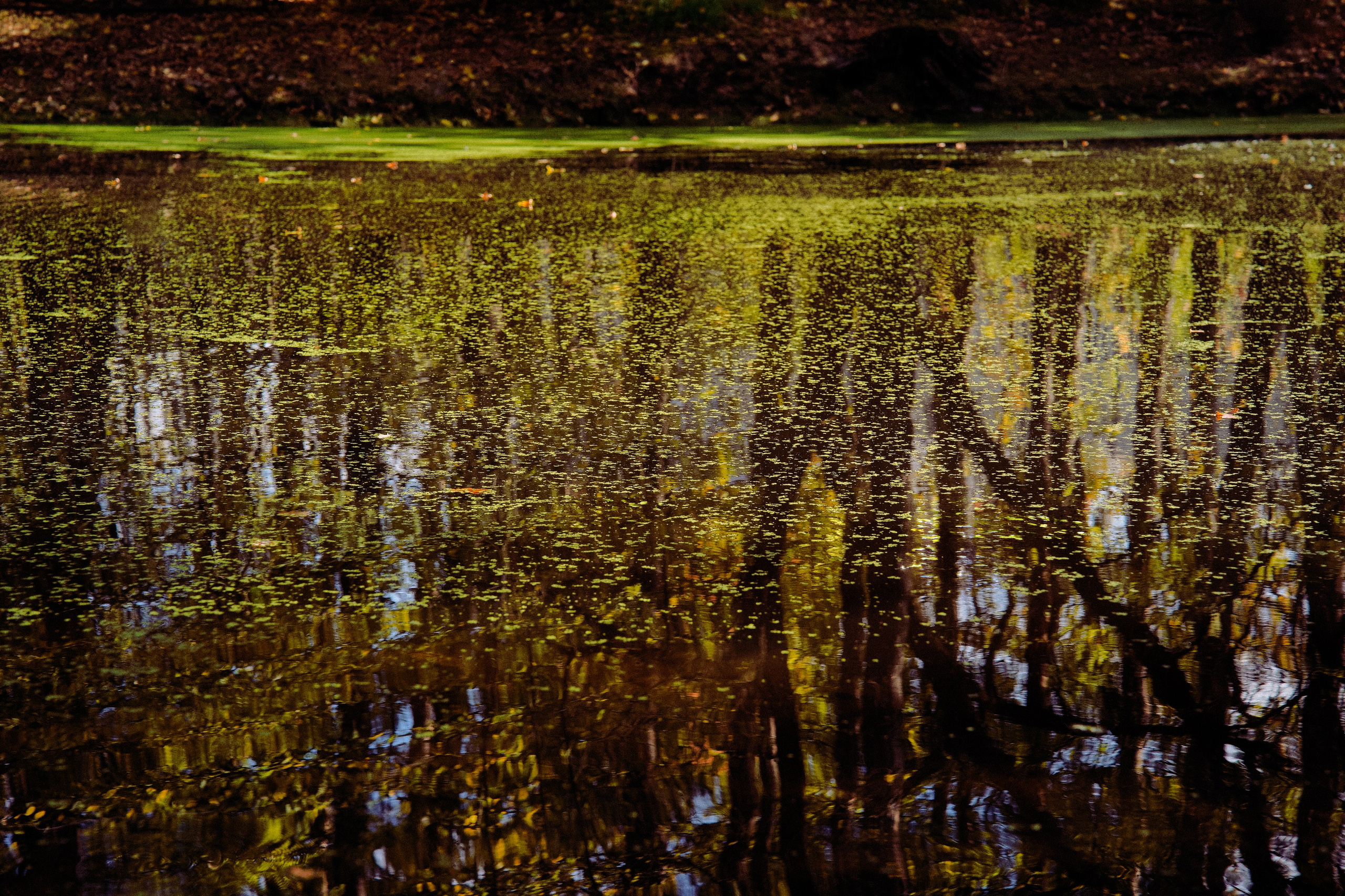 Осень 2025. Фотограф из Москвы — DASHA NOVA | Авторская фотография в разных жанрах