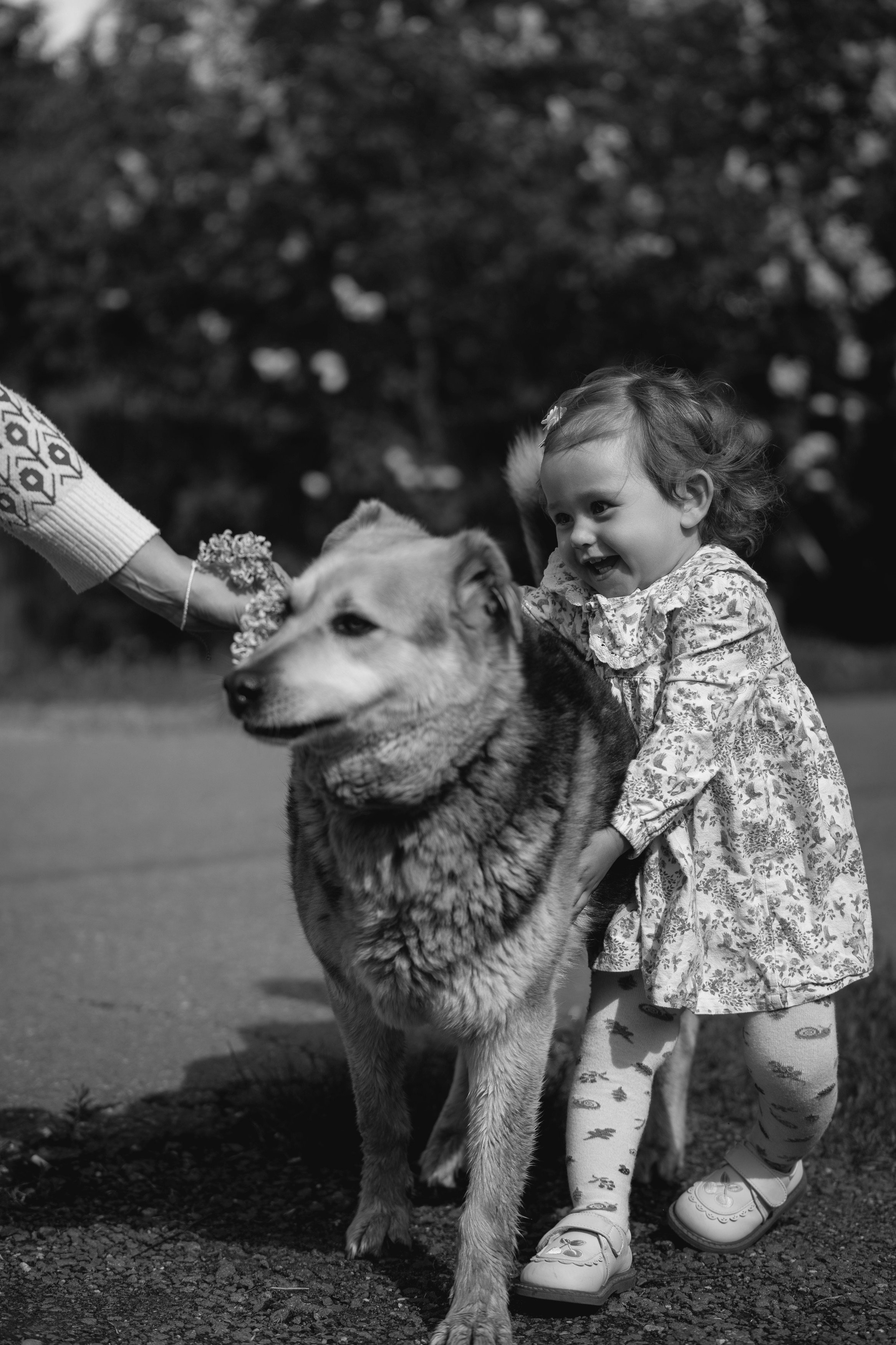 Детский фотограф в Москве. Портретный фотограф Олеся Владимирова в Москве