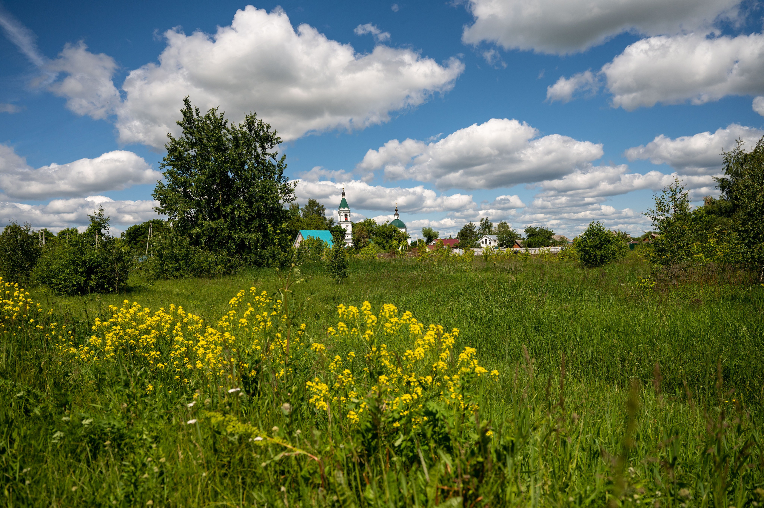 Крещение Владимира. Семейный фотограф в г. Воскресенск Наталия Молева