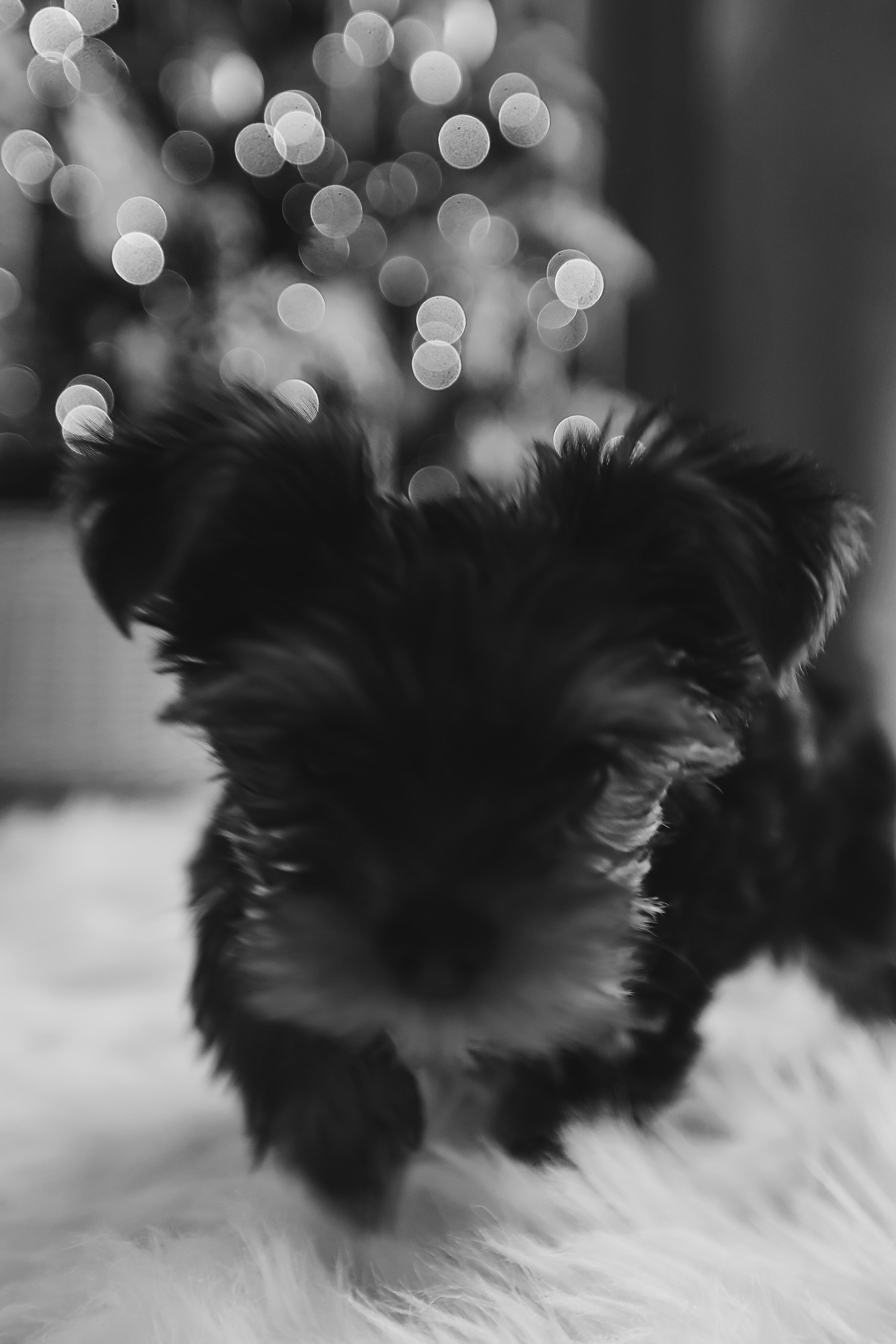 Домашняя. Семейный фотограф Тюмень, фотограф на роды Салмина Мария