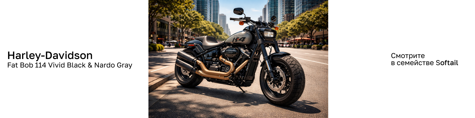 Hello Davidson, Москва. Только хорошие мотоциклы…