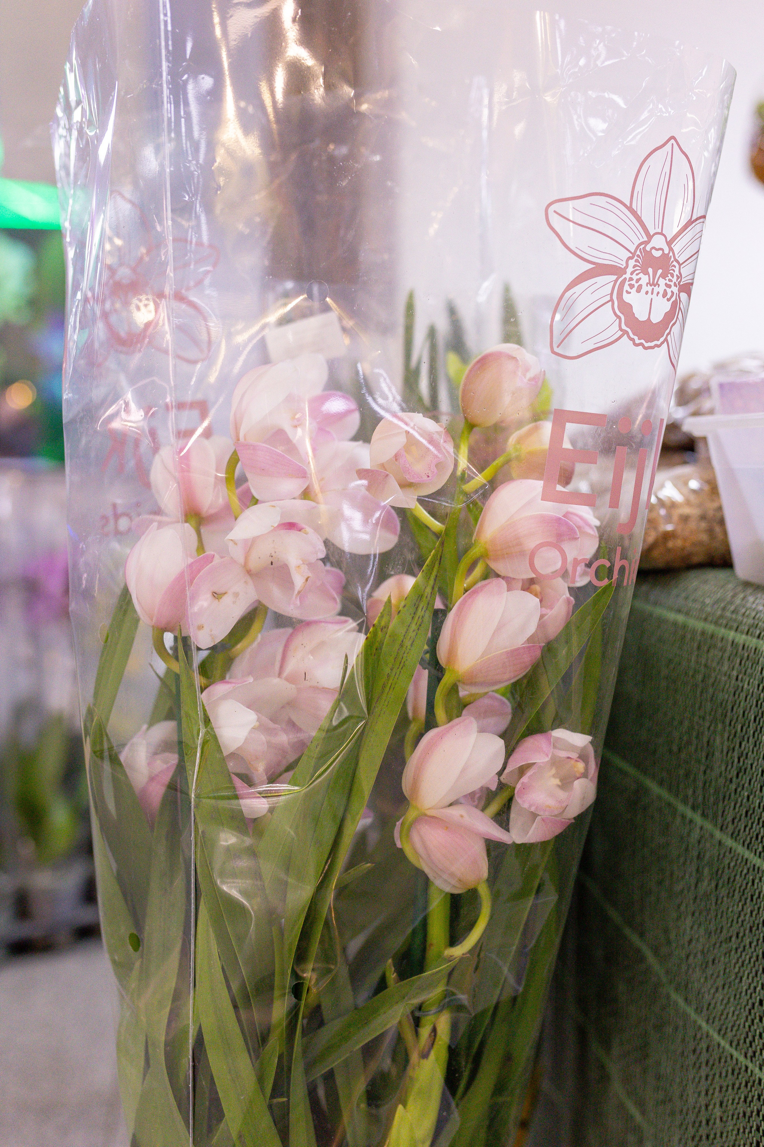 Орхидиум 12.2025. Александра Куликова фотограф, Москва