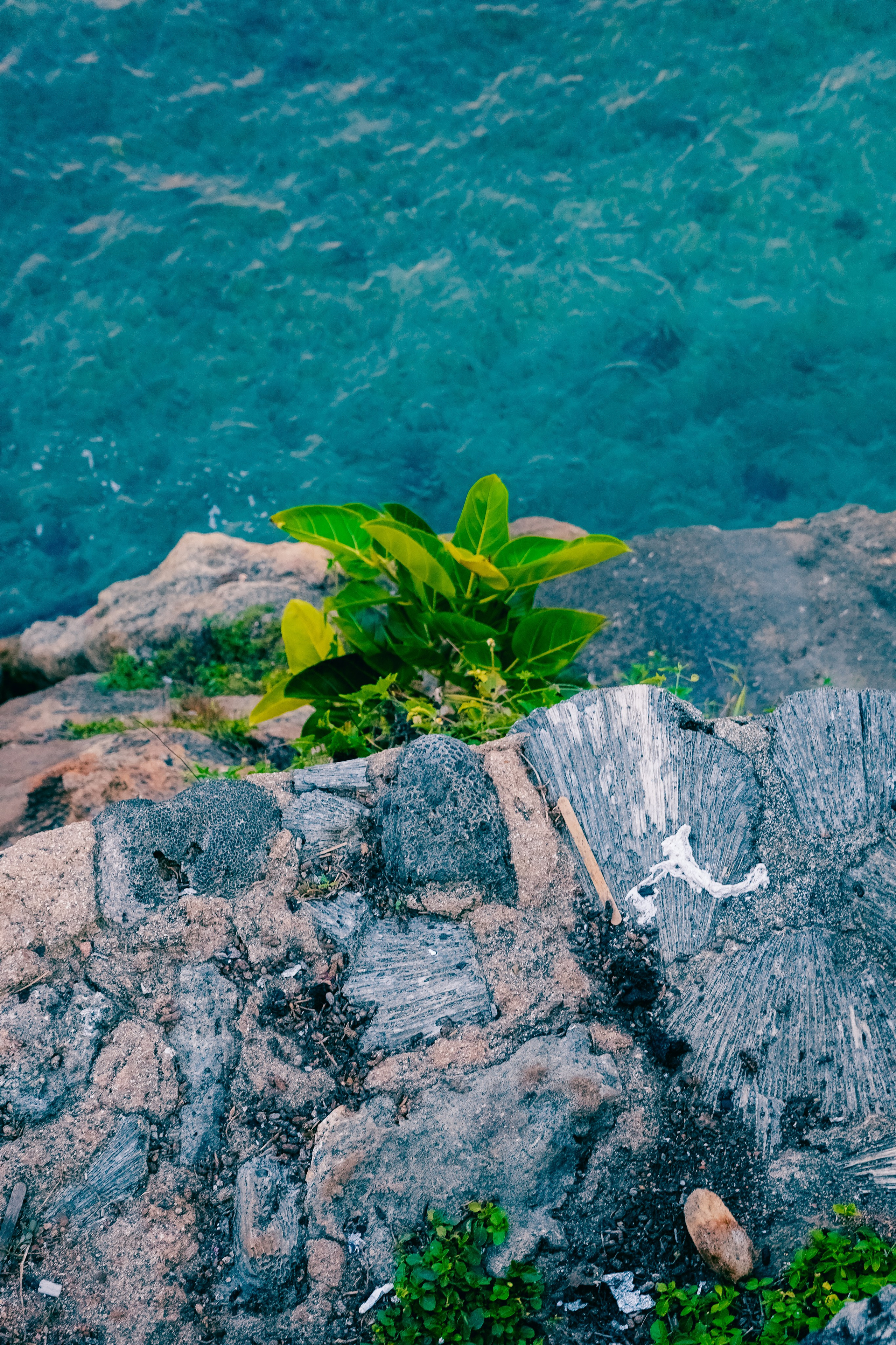 Шри-Ланка. Фотограф Алиса Аспер
