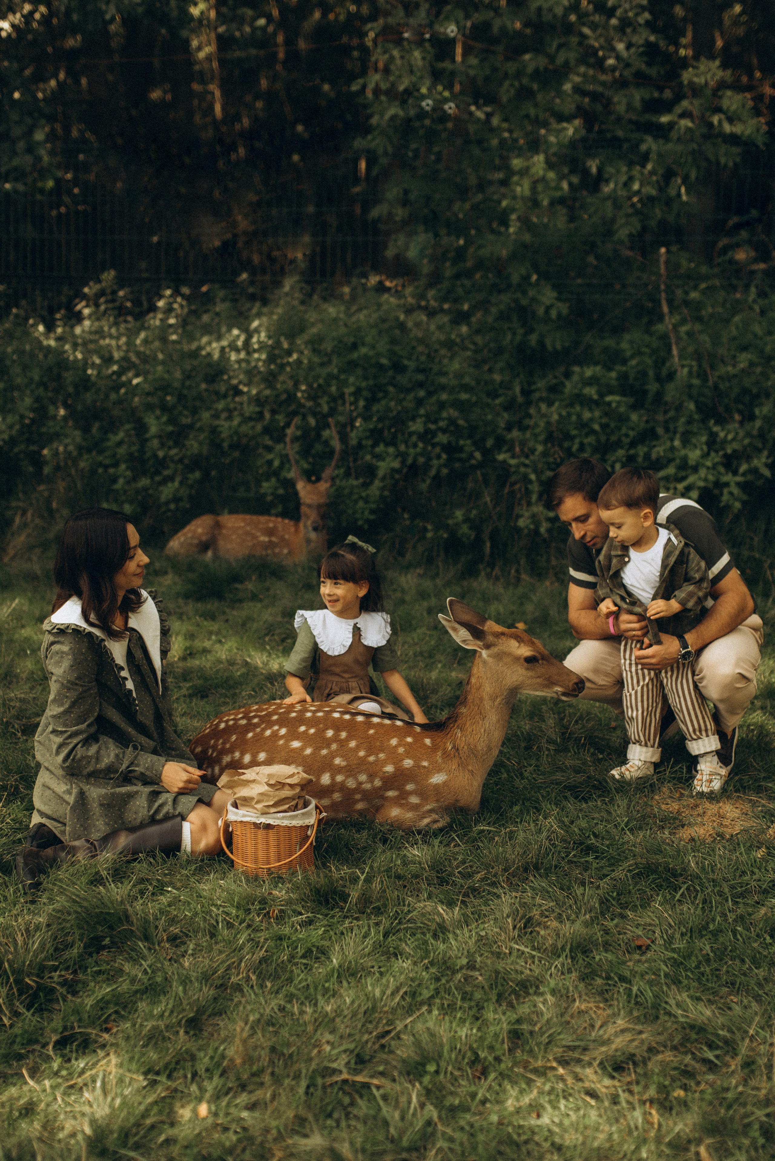 Прогулка к оленям. Семейный фотограф в Москве Екатерина Север