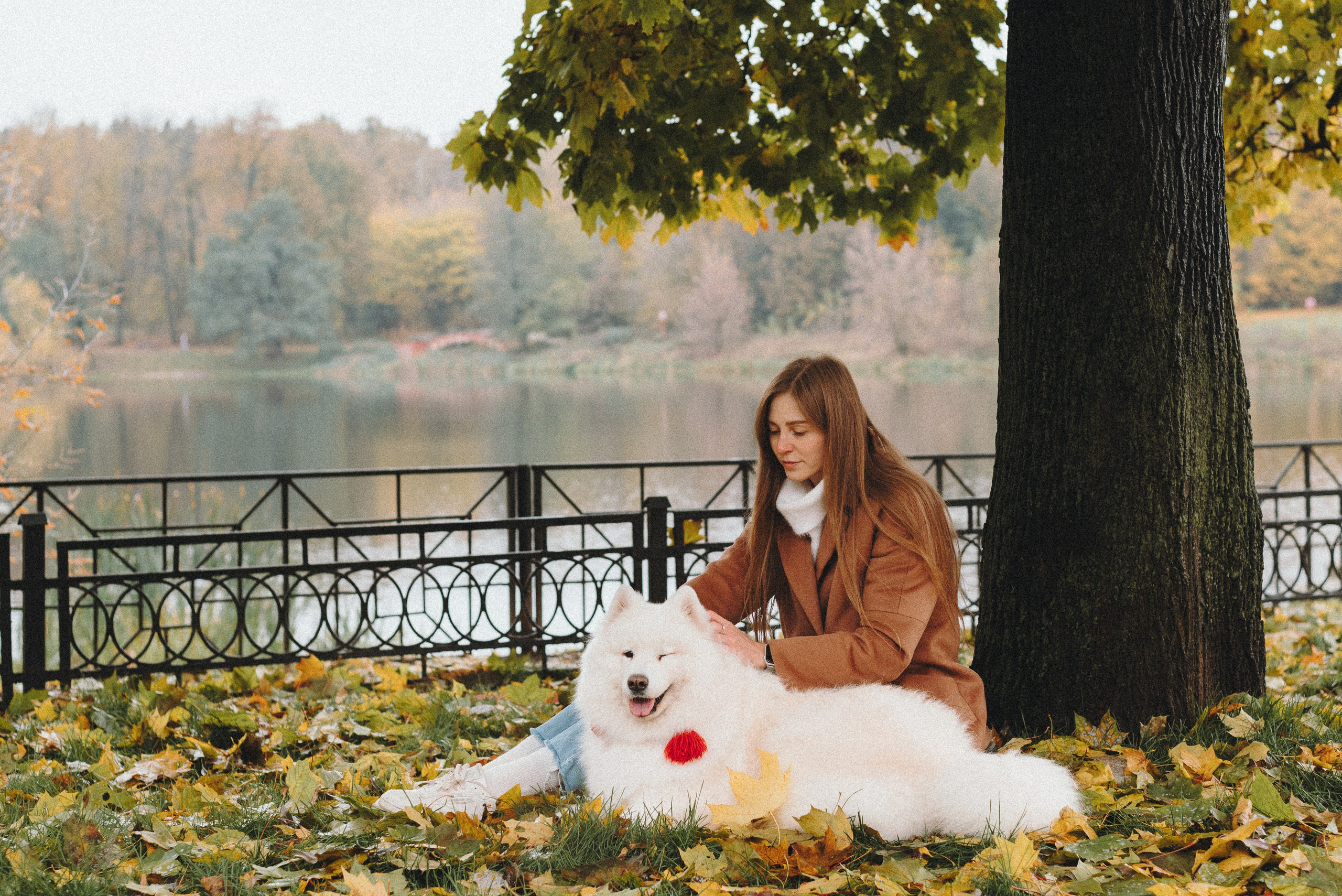 Valya & Varya. Natalia Finch Photography — Family, Kids & Pet Photographer in Chicago, IL