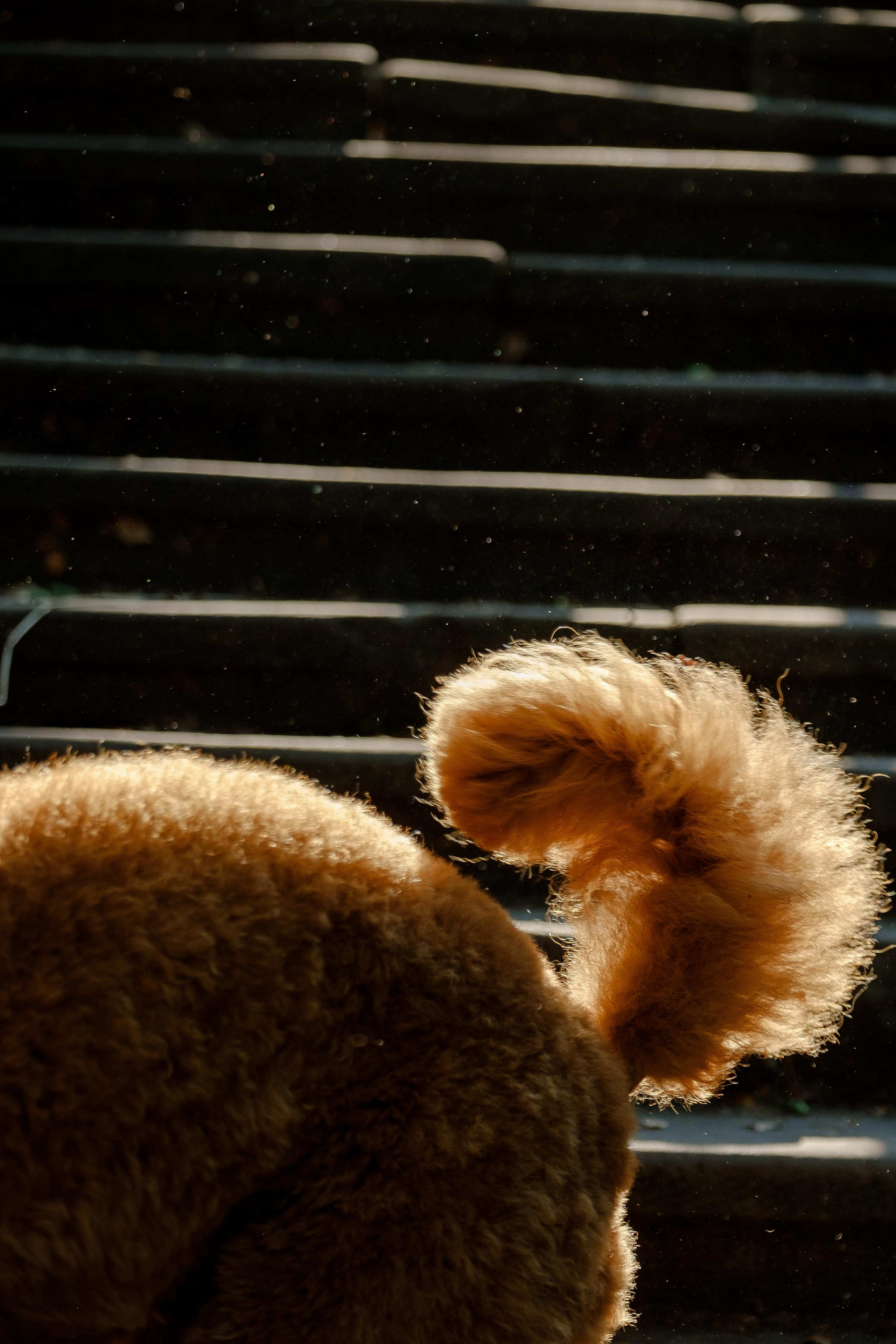 Рита+Марла. Фотограф Москва Долгопрудный Екатерина Новосельцева