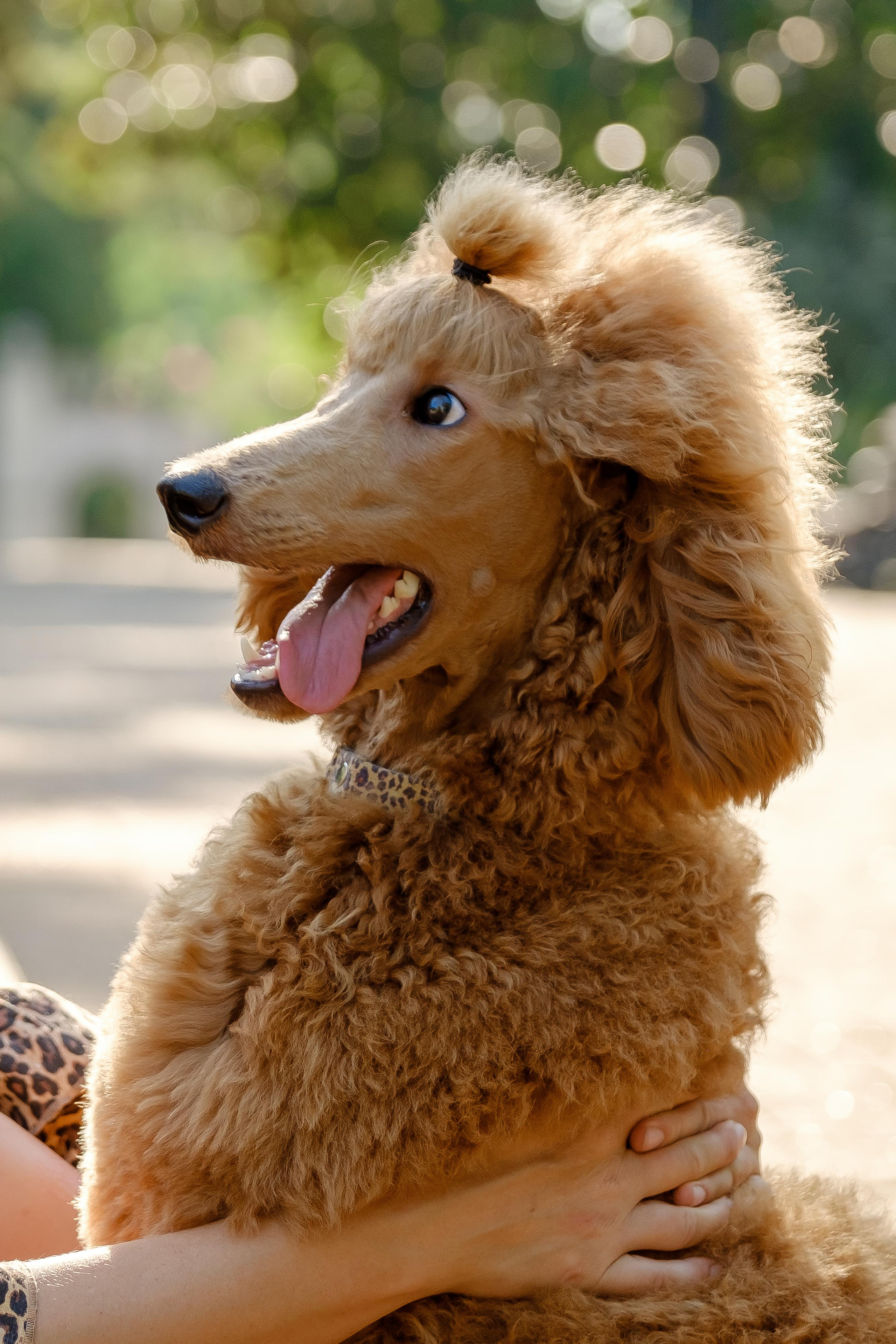 Рита+Марла. Фотограф Москва Долгопрудный Екатерина Новосельцева