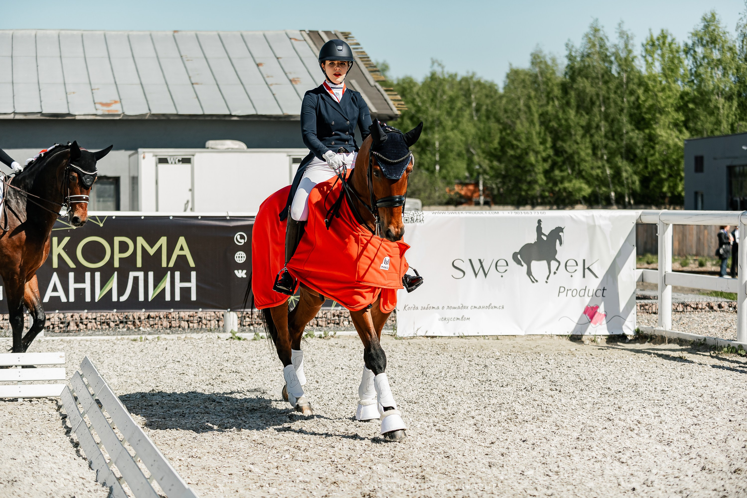 РЕПОРТАЖ МКК ВОЛЬТ «LA TULIPS». Конный фотограф Куракина Дарья • Фотосессии с лошадьми