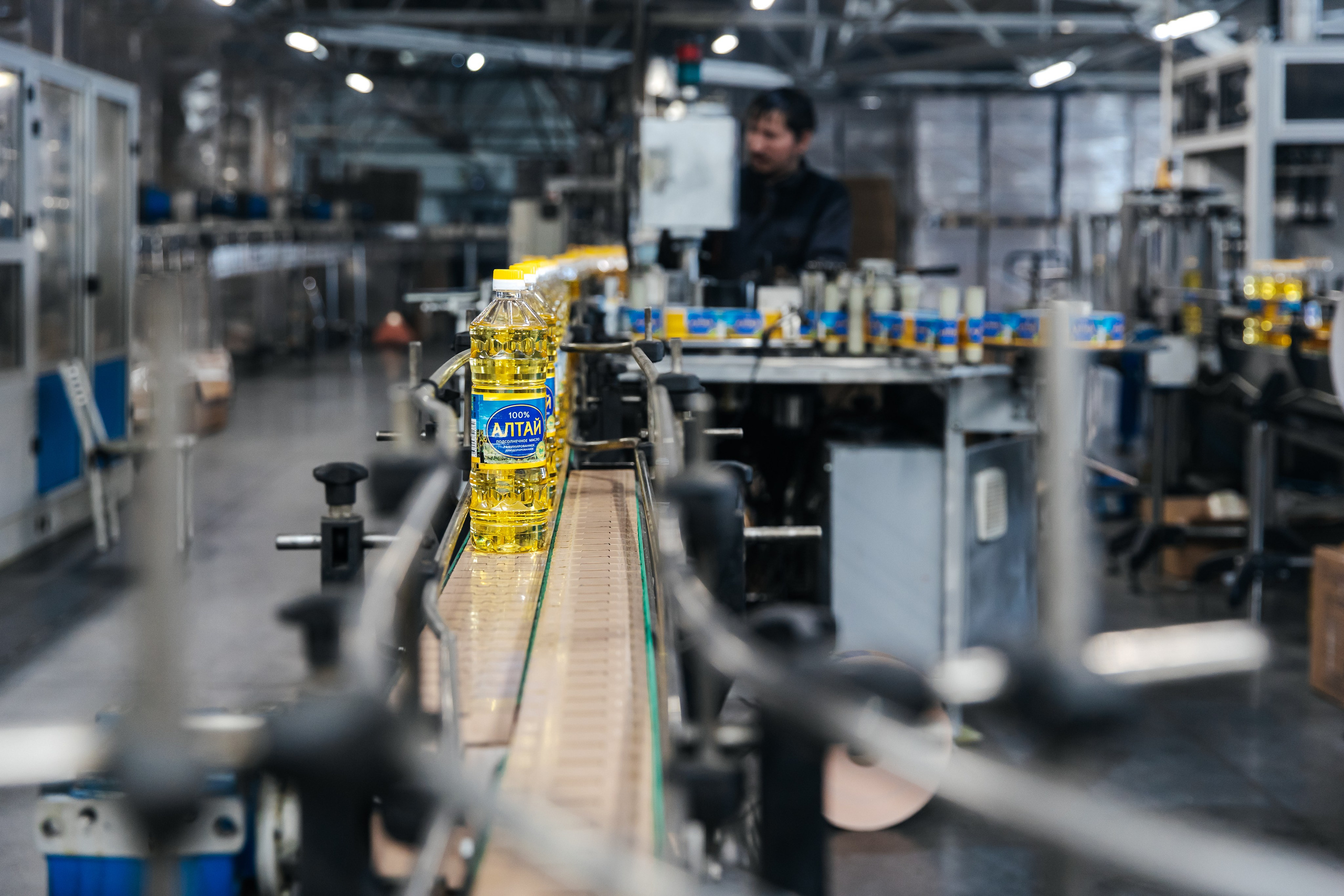 Диво Алтая. Производитель подсолнечного масла. Лихошерстов Андрей — фотограф для бизнеса из Сибири