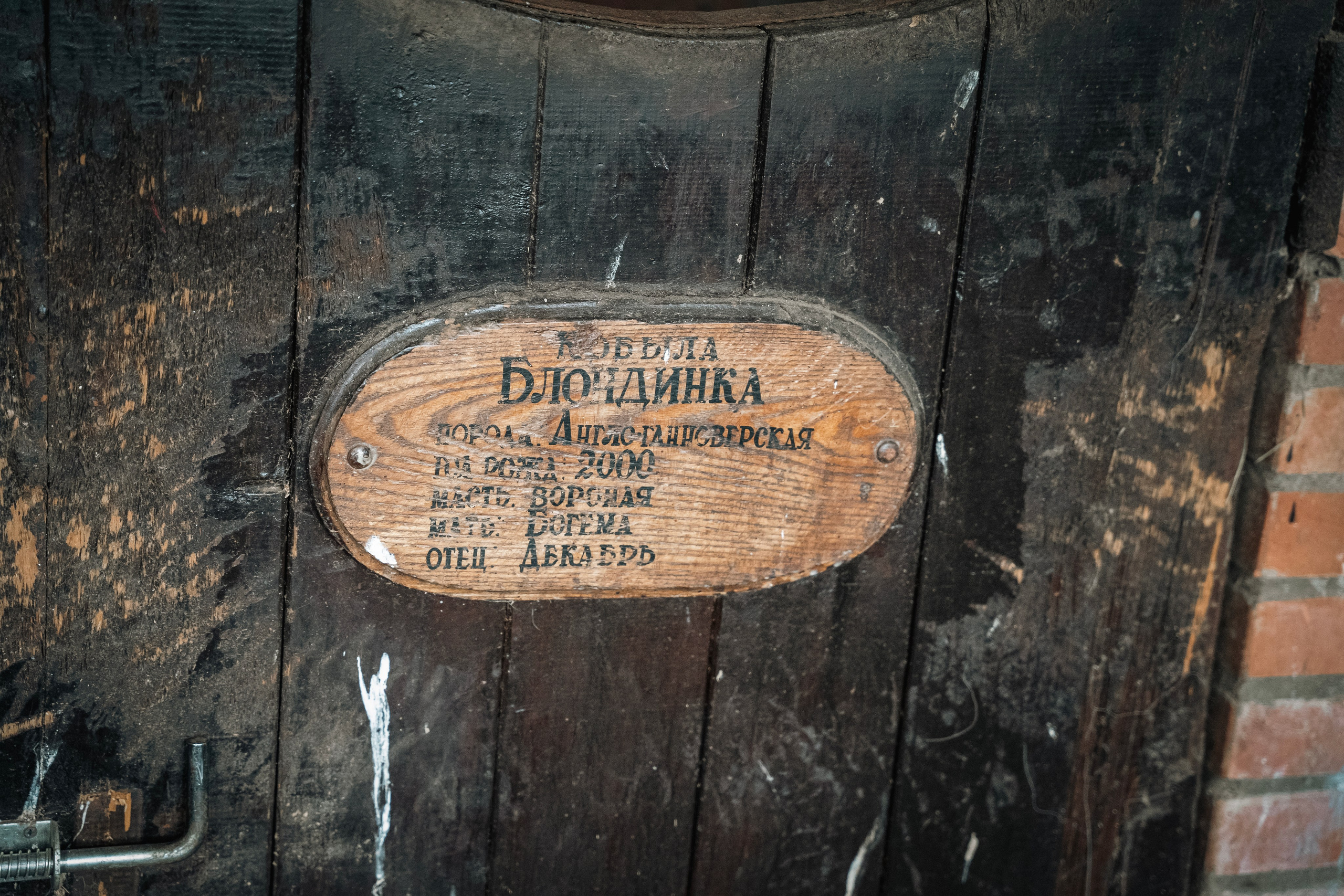 Дикий запад. Портретный фотограф в Смоленске и Москве Мария Громова