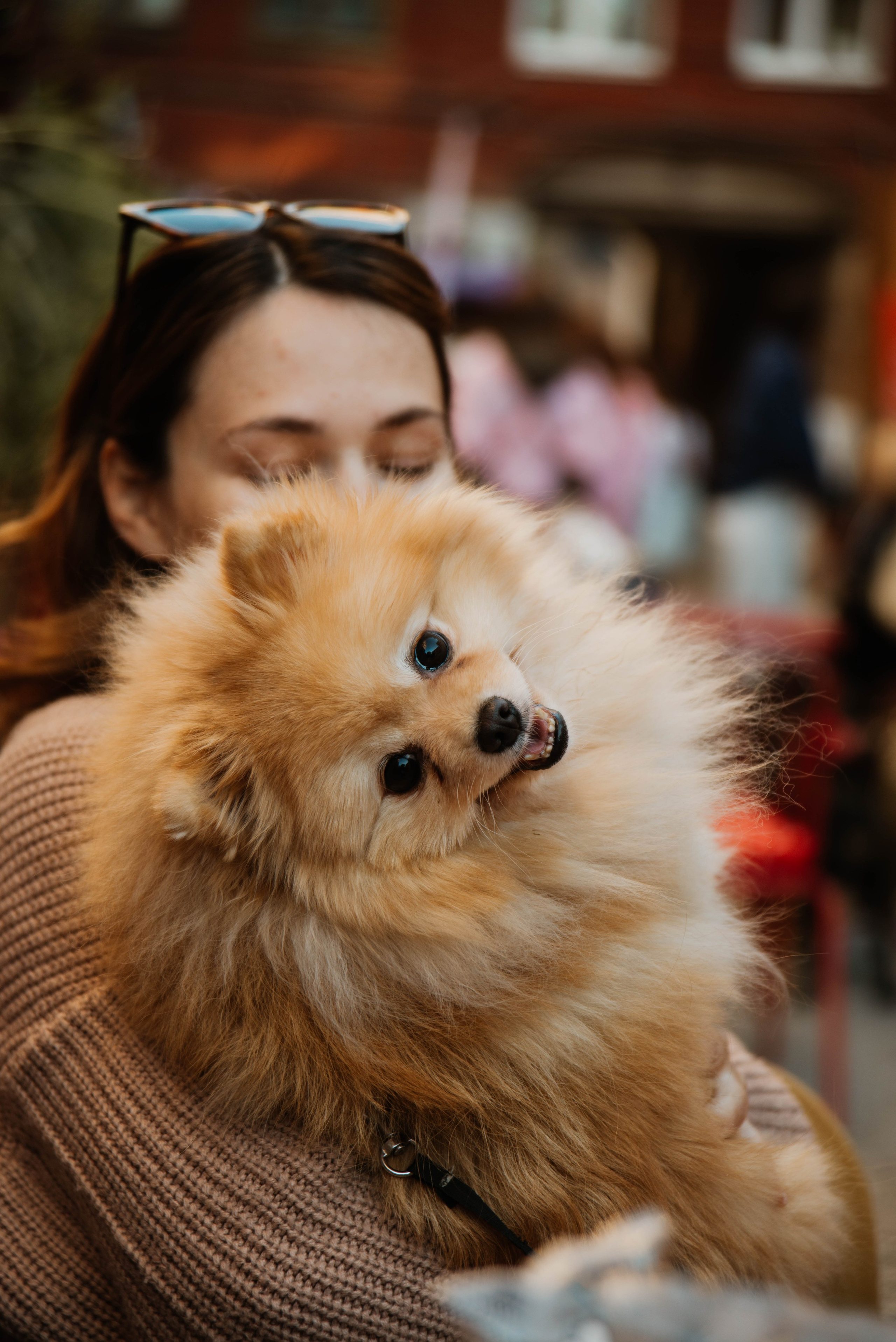 Дог-вечеринка на летнике «Кутёж». Ксения Glossa. Портретный и репортажный фотограф в Самаре