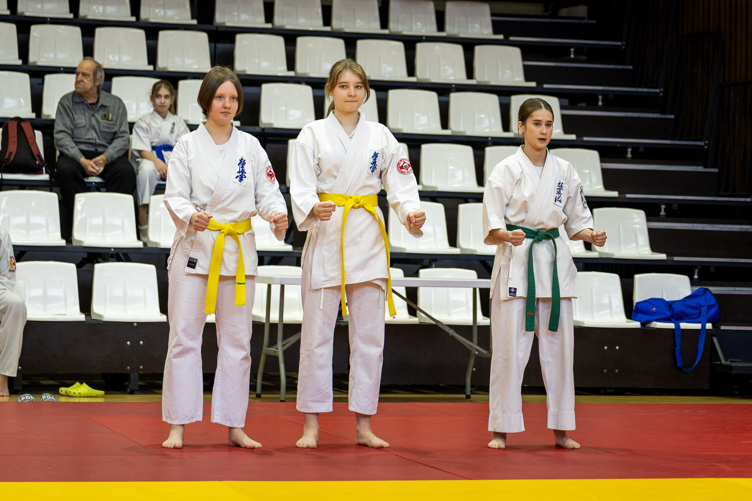 Карате. Ката. Главная