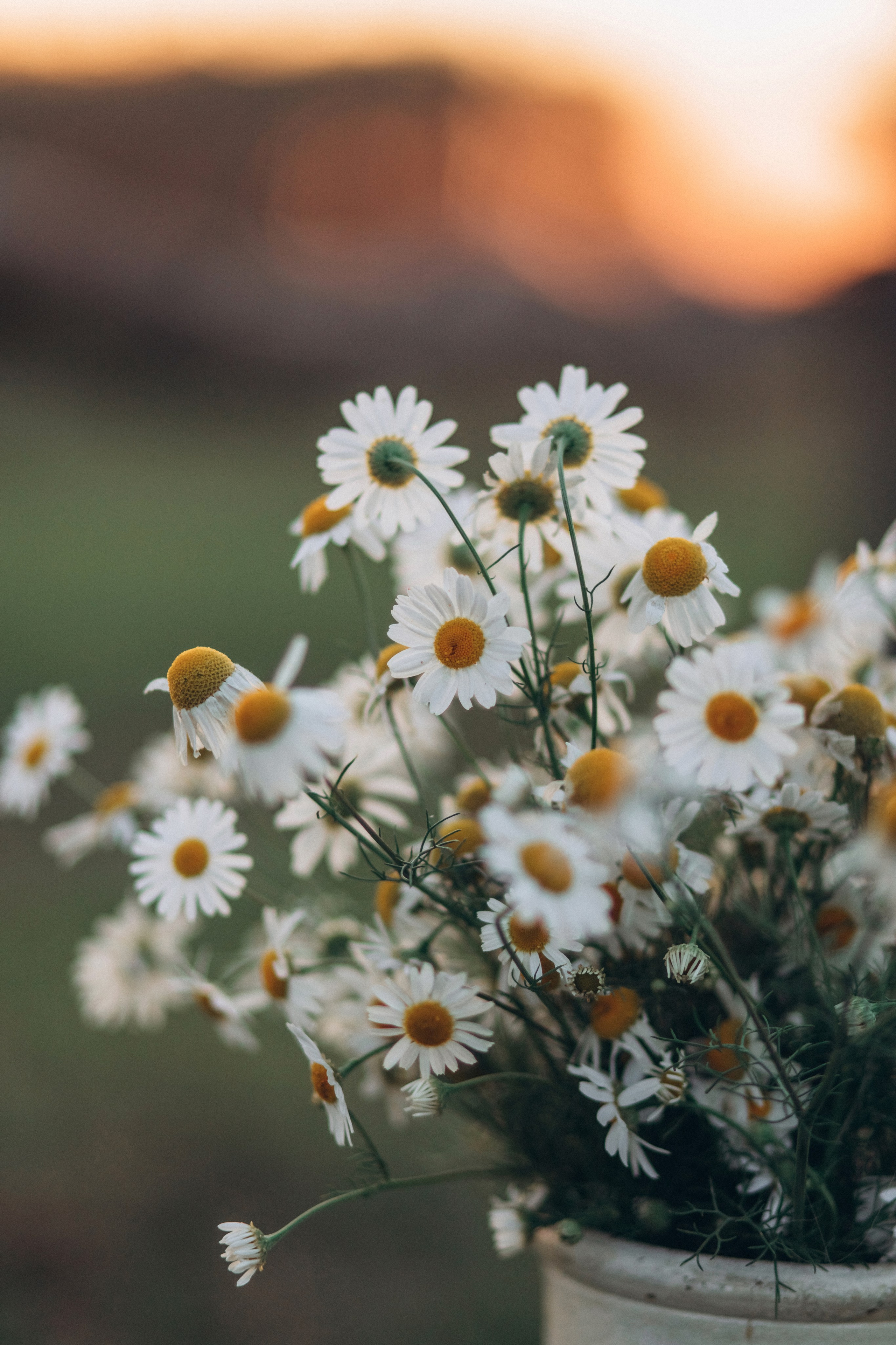 Закатная история для Юли. Валентина Удалая — семейный и портретный фотограф в Брянске