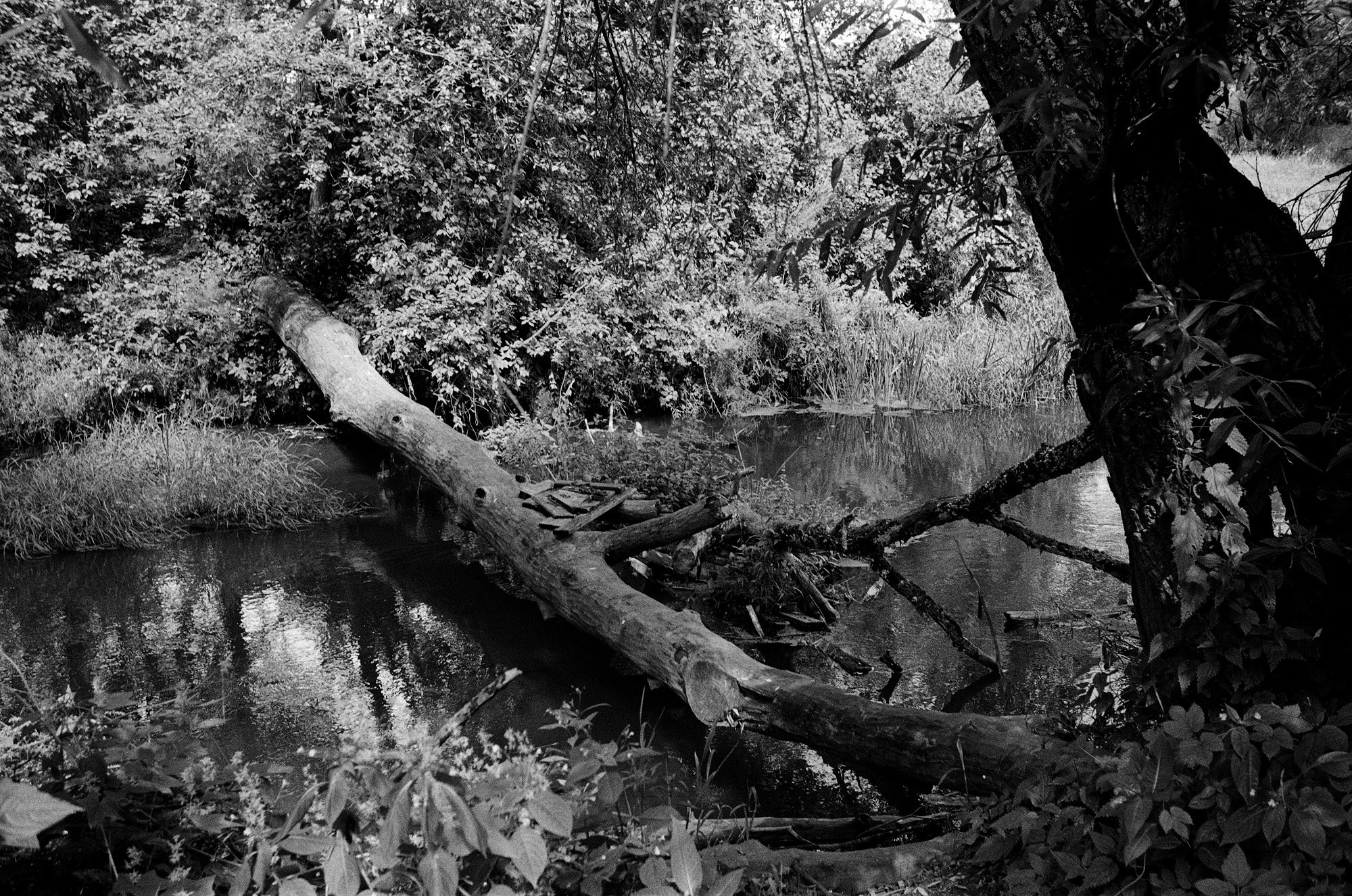 Киржач. Владимирская область. Другой Павел Поцелуев. Фотограф в 2025 году