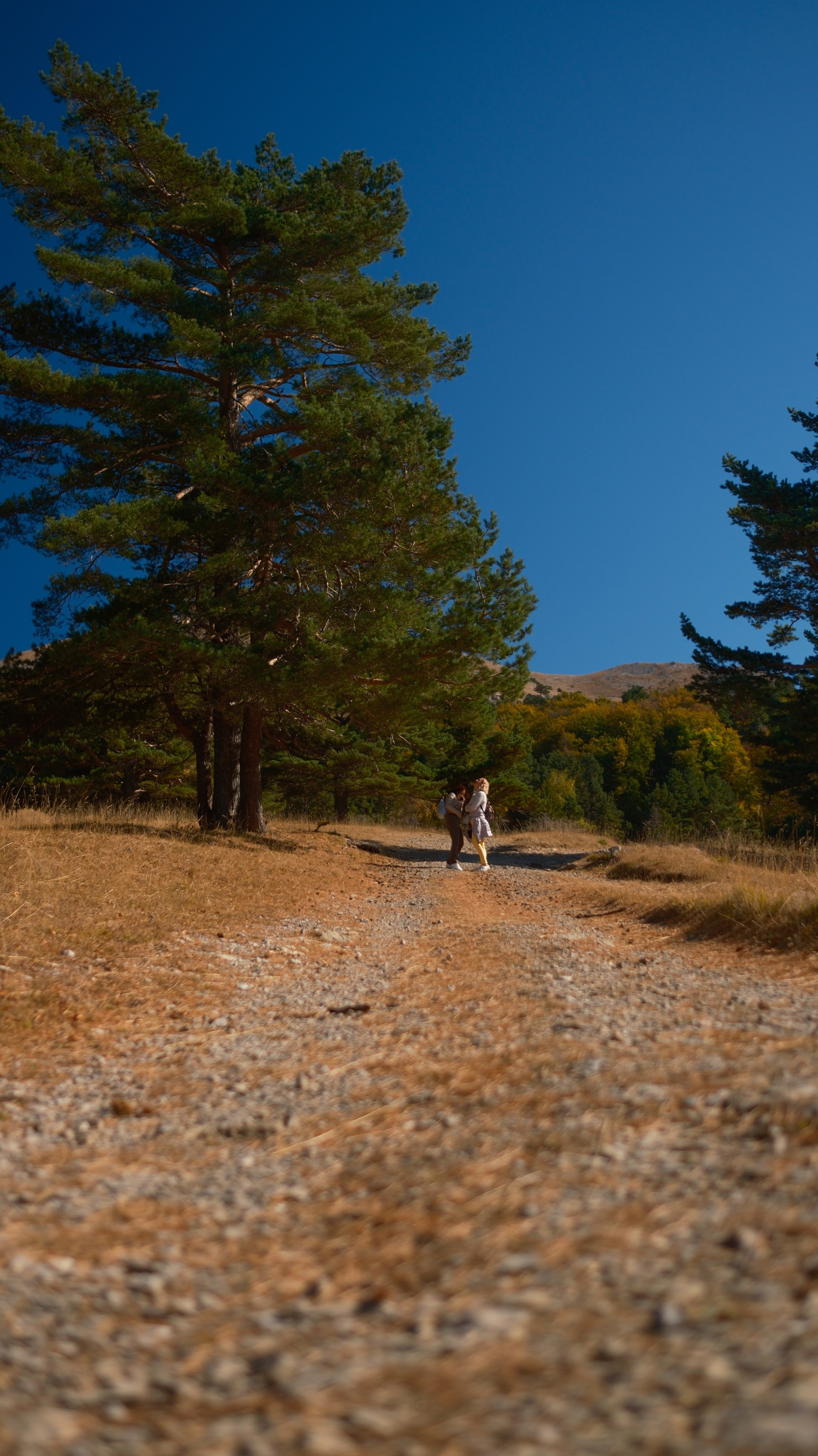 Хочу в Национальный Парк «Крымский». Гид и фотограф в Крыму Сергей Соколов