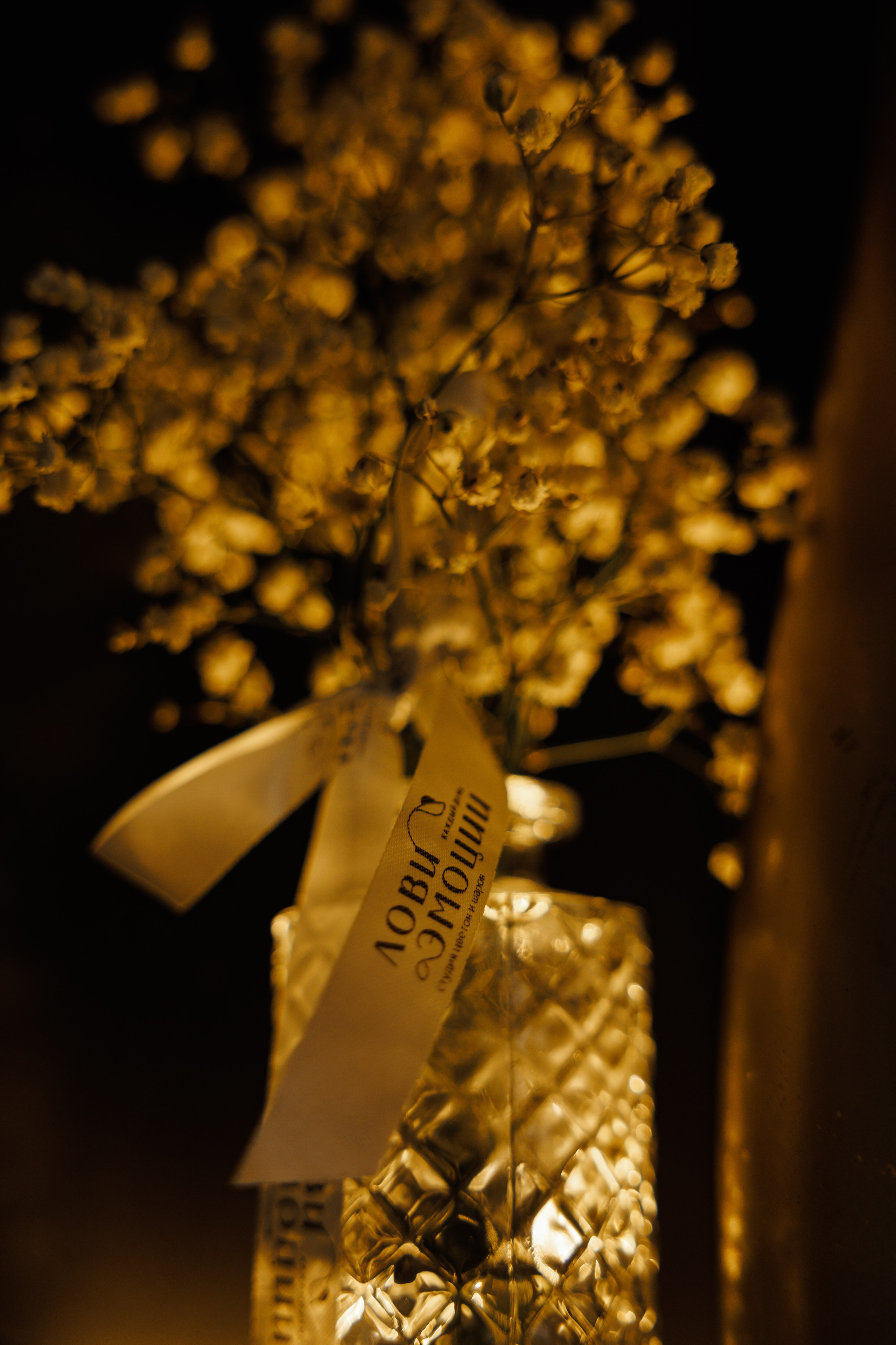 Рома и Надя. Фотограф Ставрополь Петр Голубенко